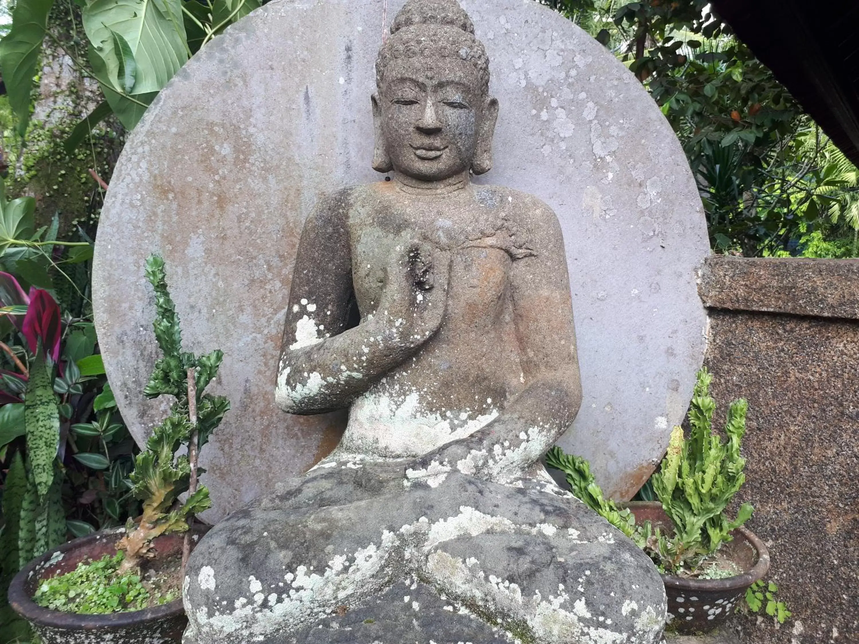 Garden view in Cendana Resort & Spa by Mahaputra Garden view in Cendana Resort & Spa by Mahaputra