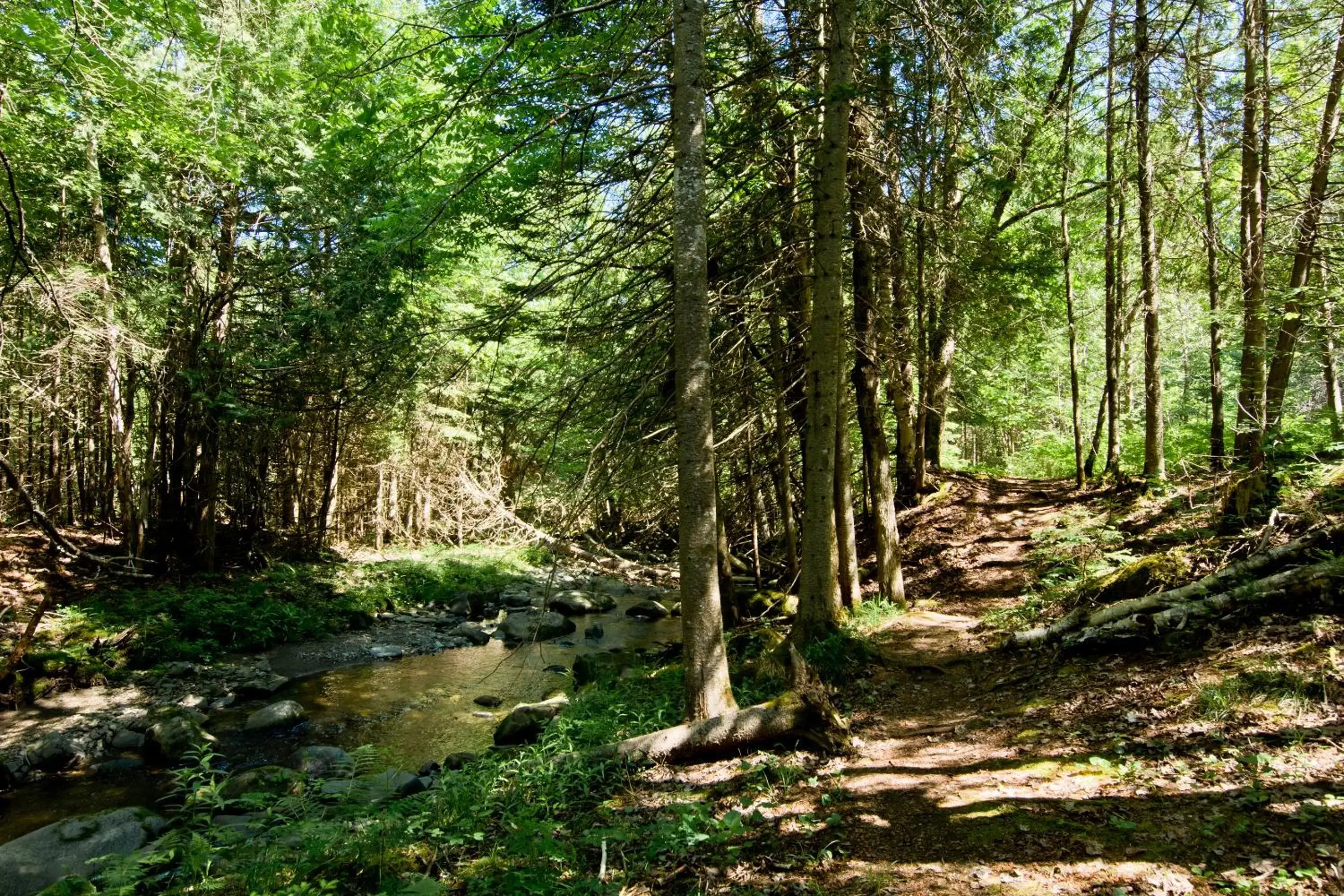 Natural Landscape in Camping Chalets Spas Pignons Rouges