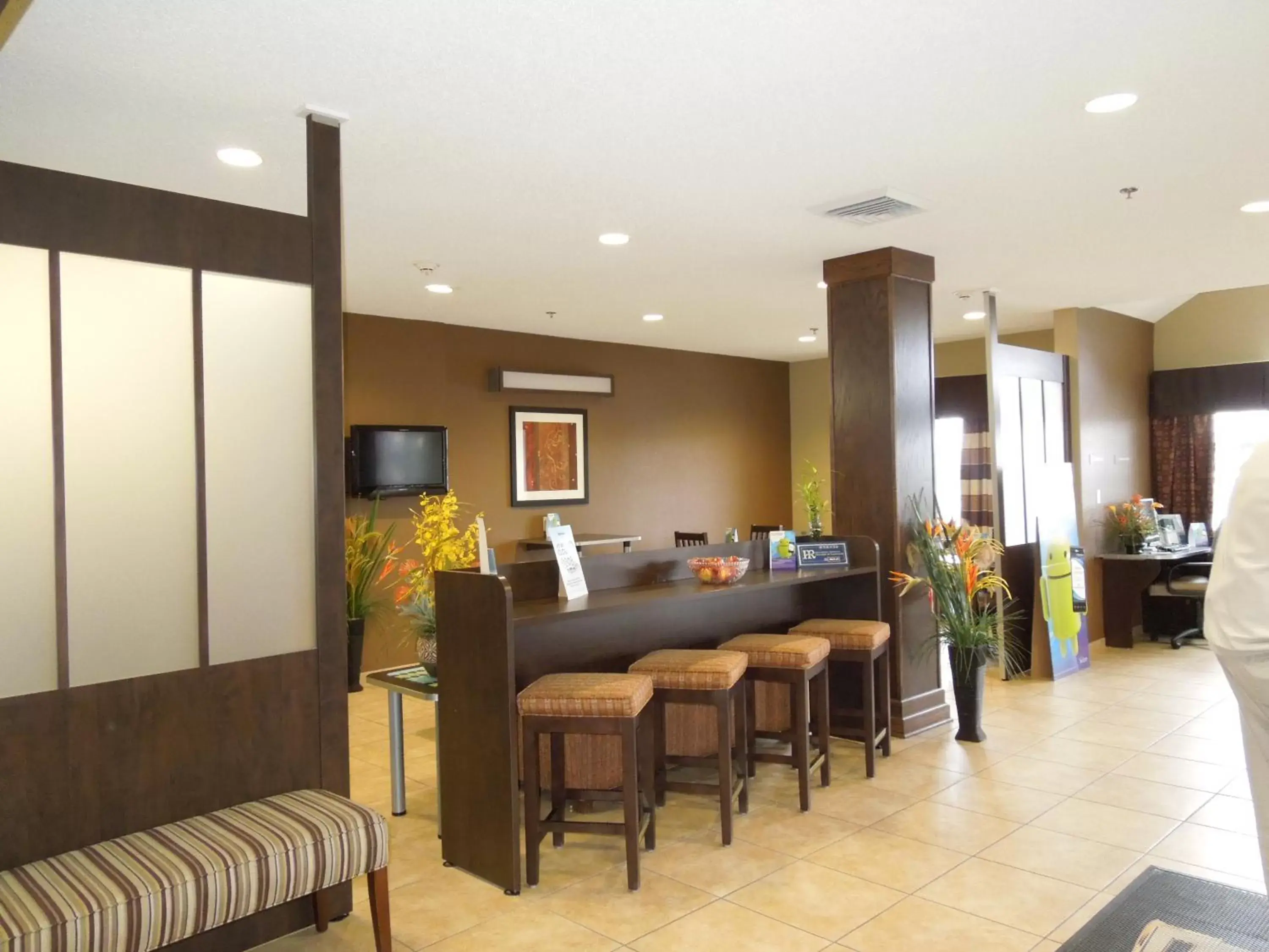 Lobby or reception in Microtel Inn & Suites by Wyndham Harrisonburg