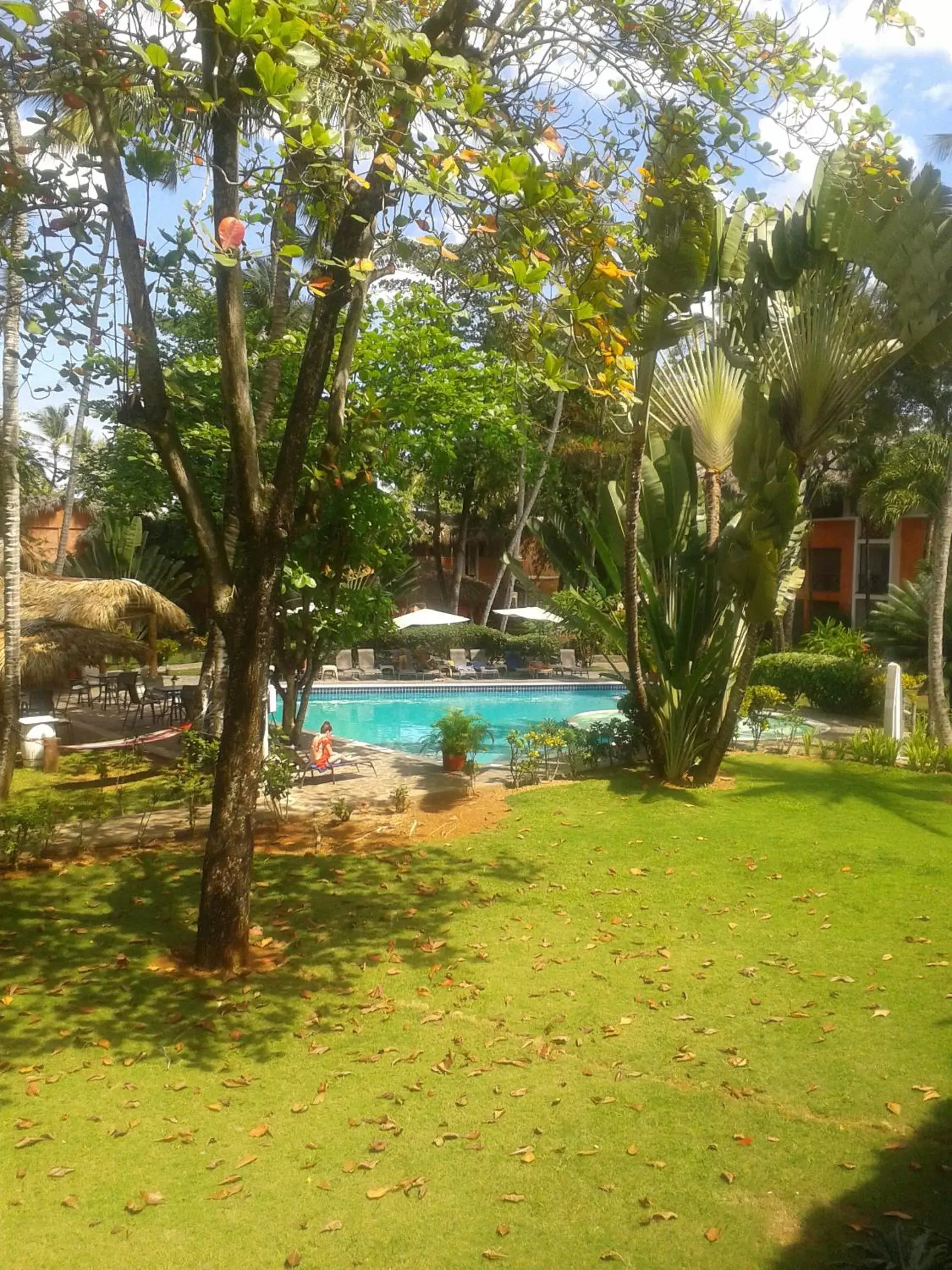 Garden, Swimming Pool in La Residencia del Paseo