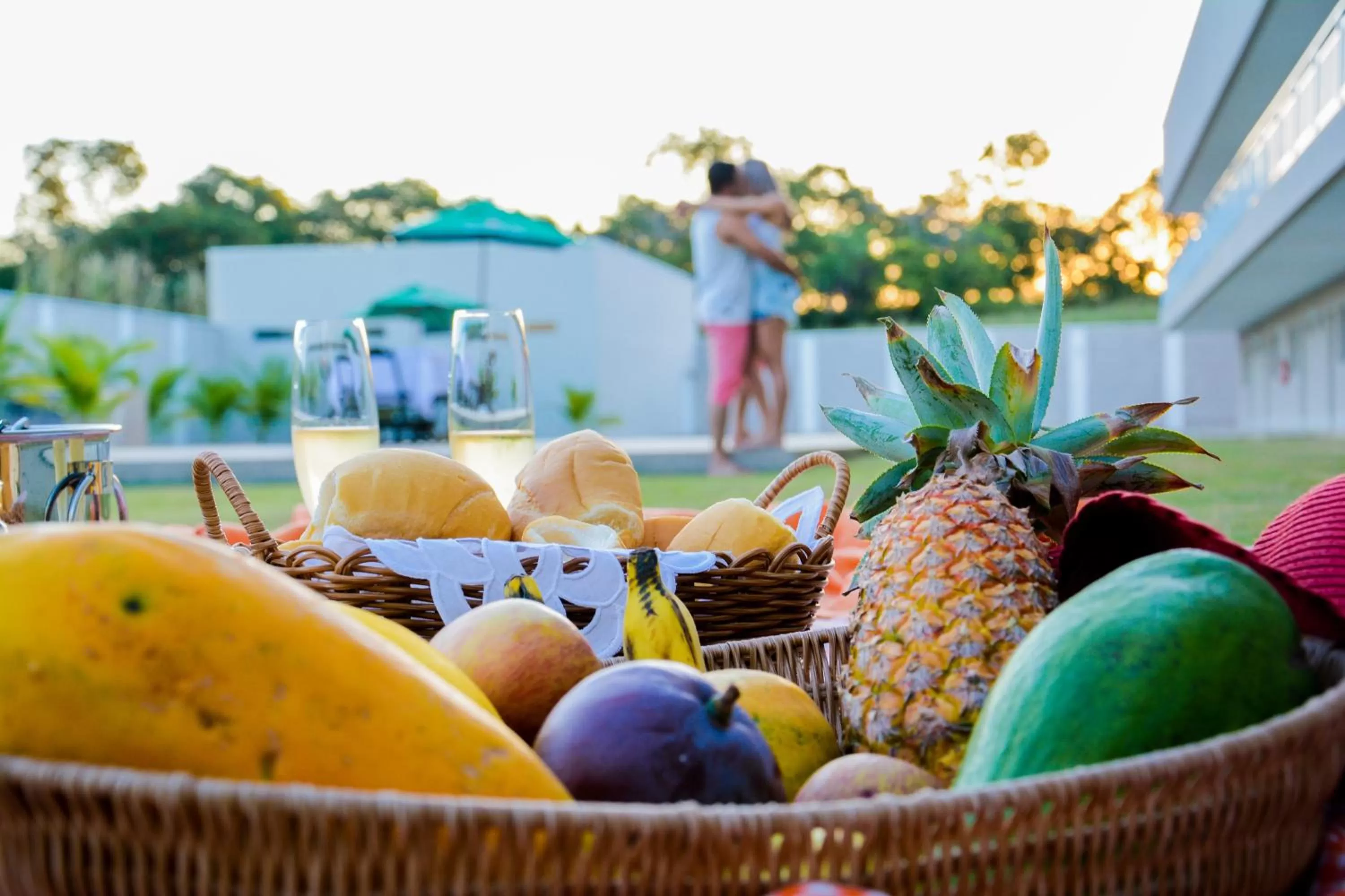 Garden in Hotel Imperador