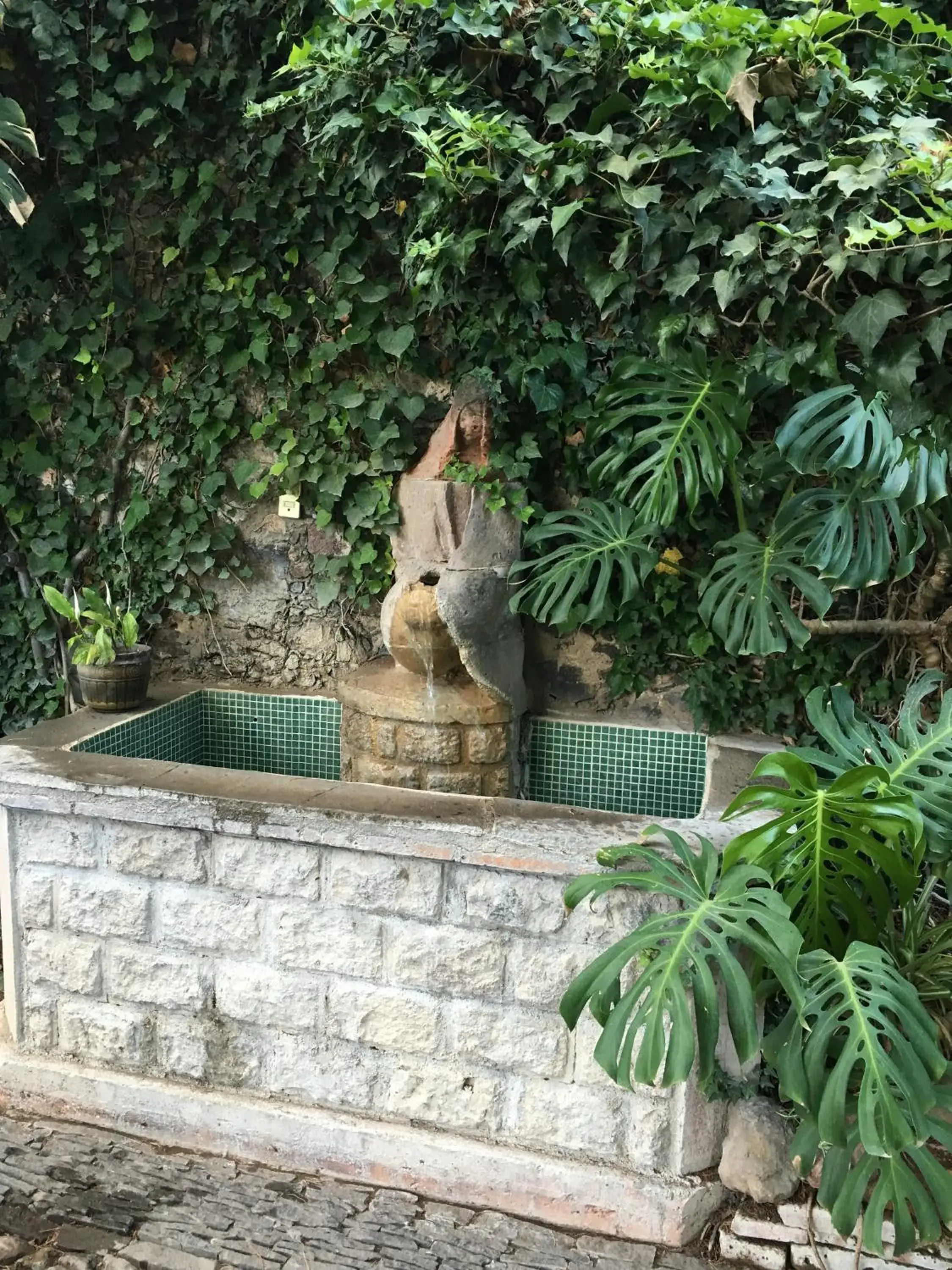 Garden, Pets in Rancho Hotel Atascadero