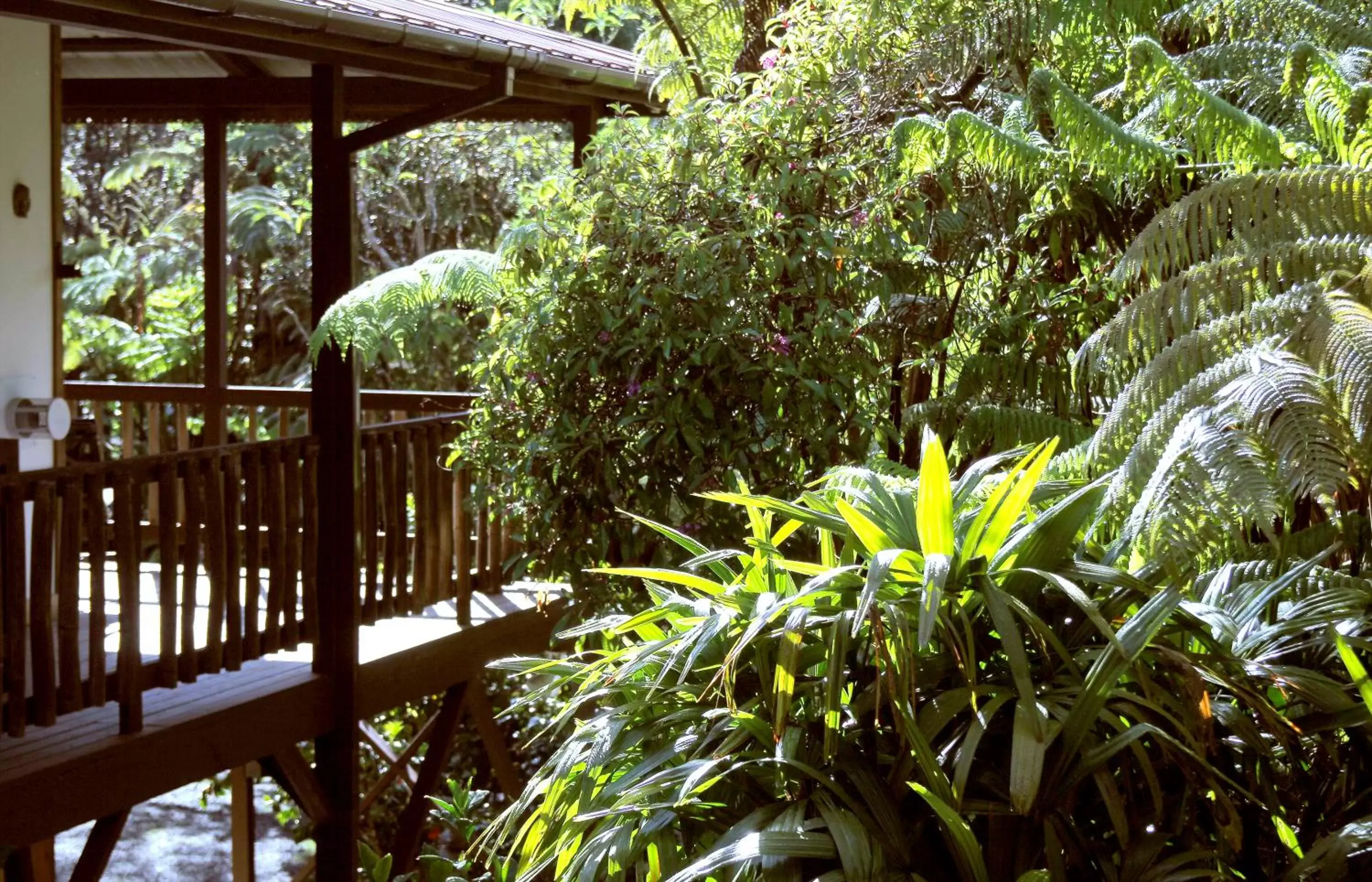 Garden in Lotus Garden Cottages