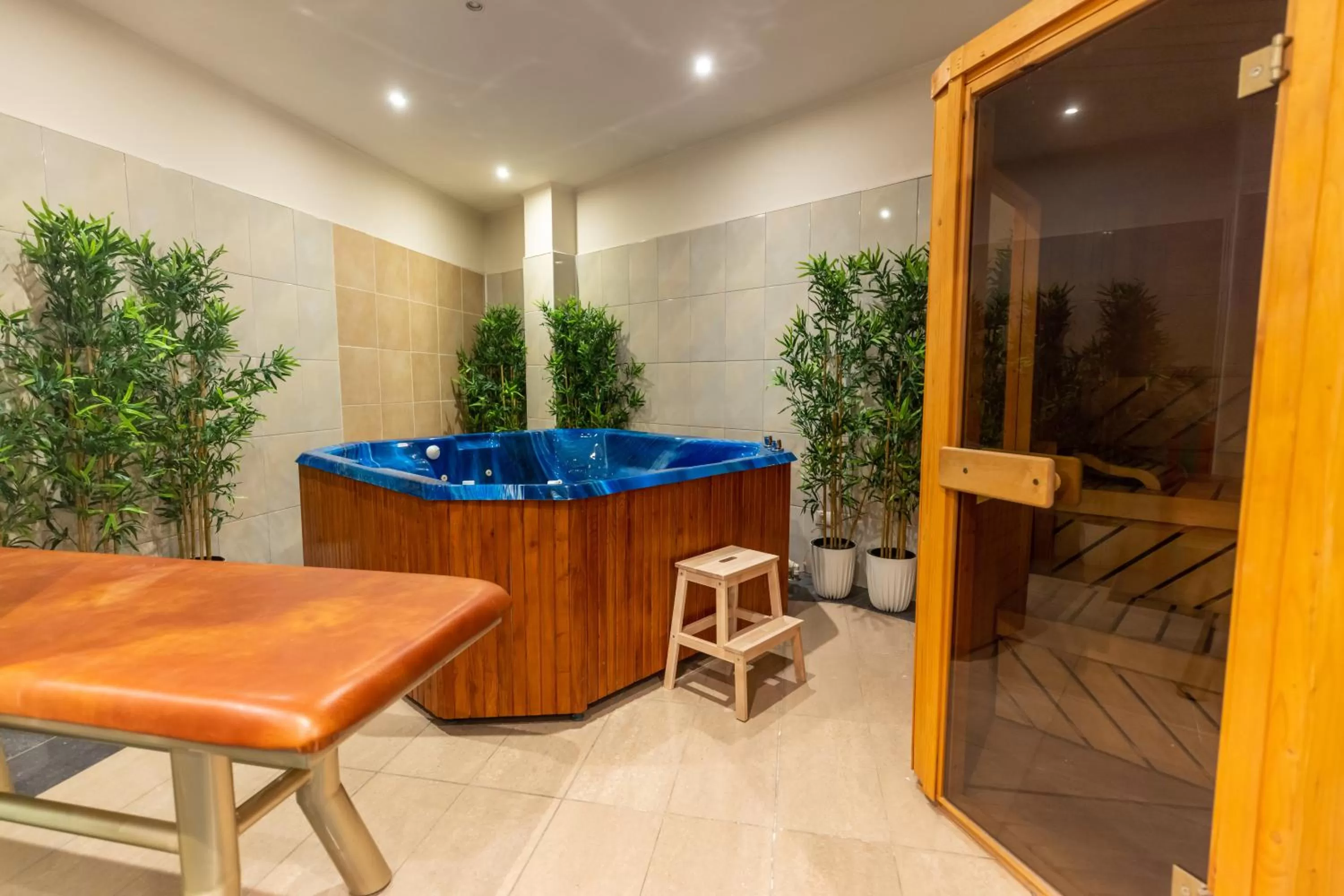 Spa and wellness centre/facilities in Hotel Sir Royal
