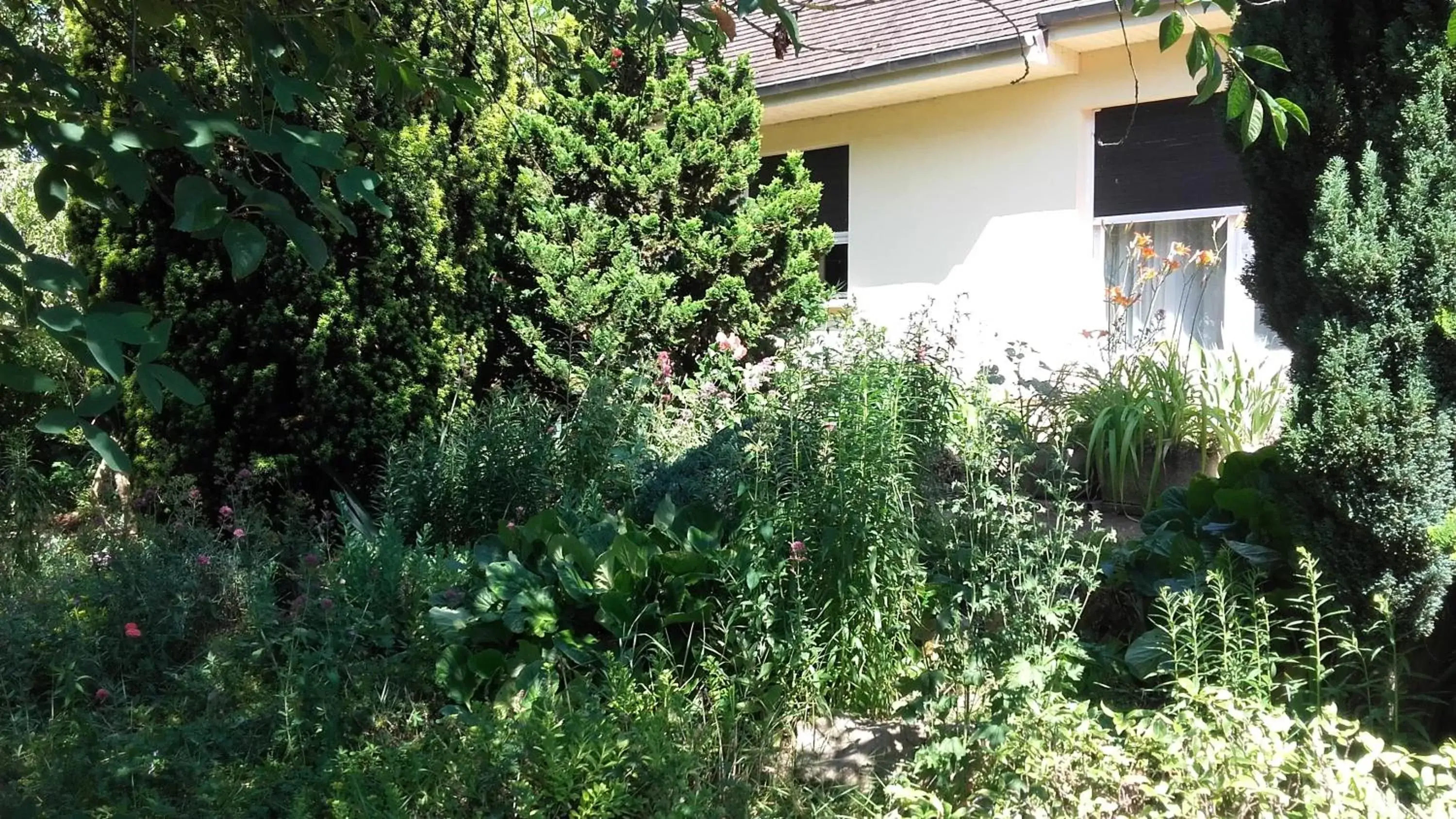 Property Building in Chambres du Jardin Fleuri