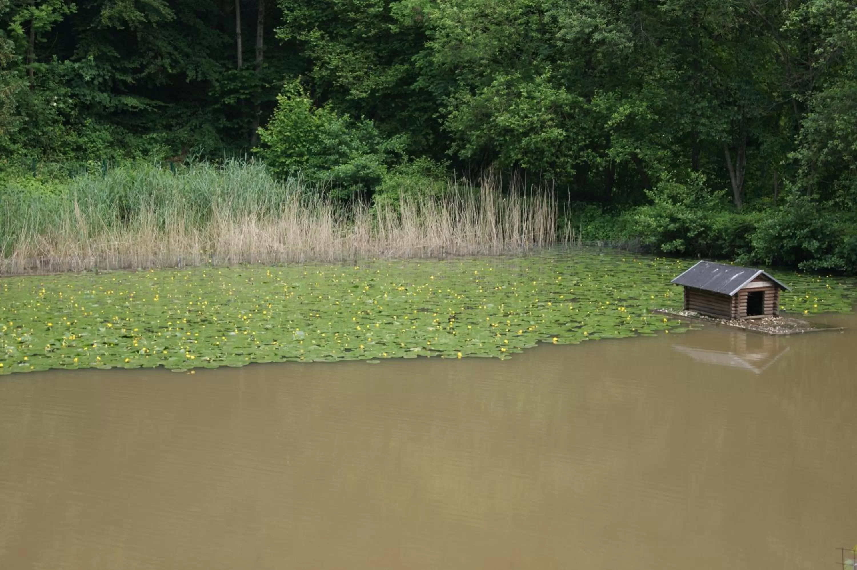 On site in Hotel Restaurant Muckensee