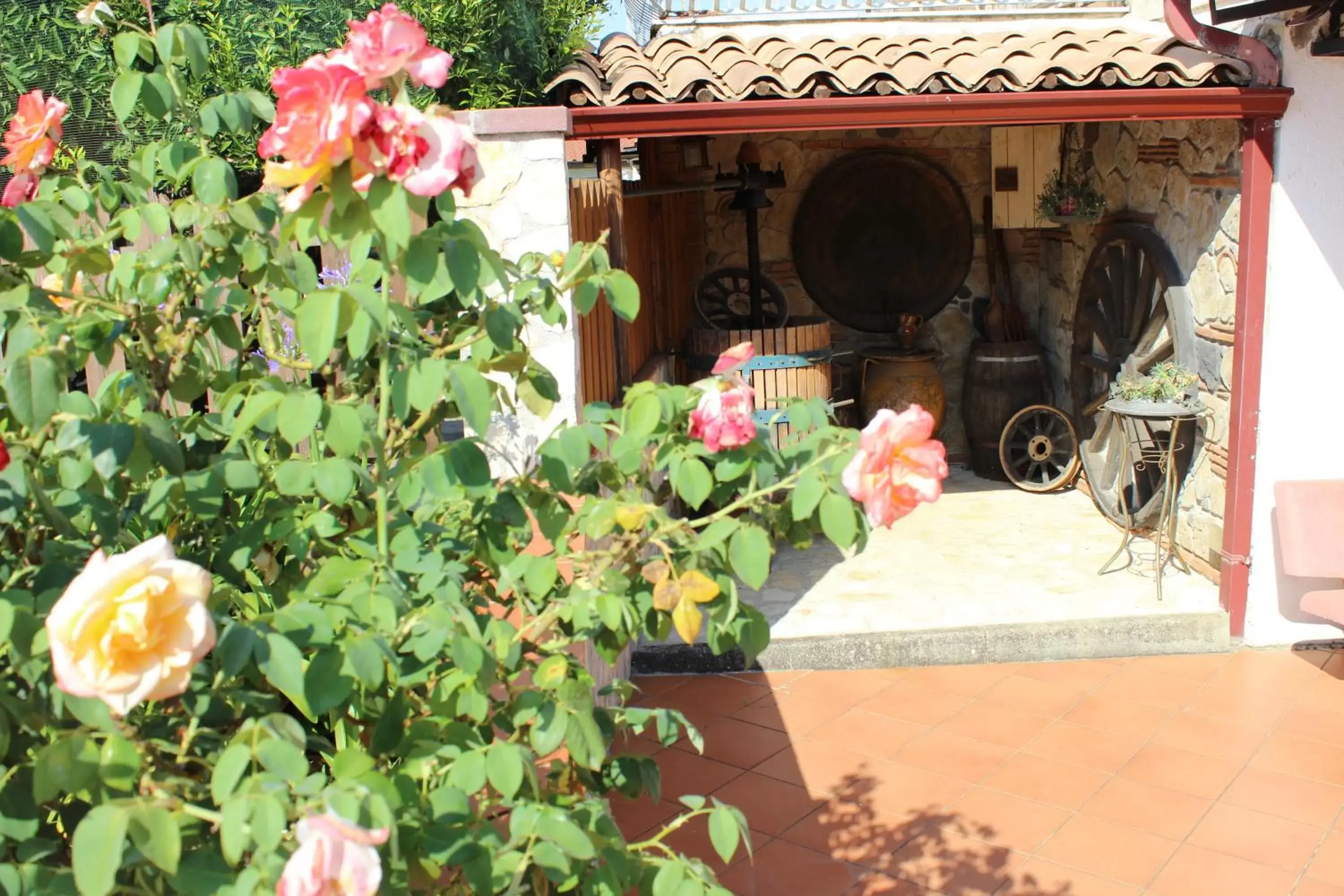 BBQ Facilities in B&B La Vigna