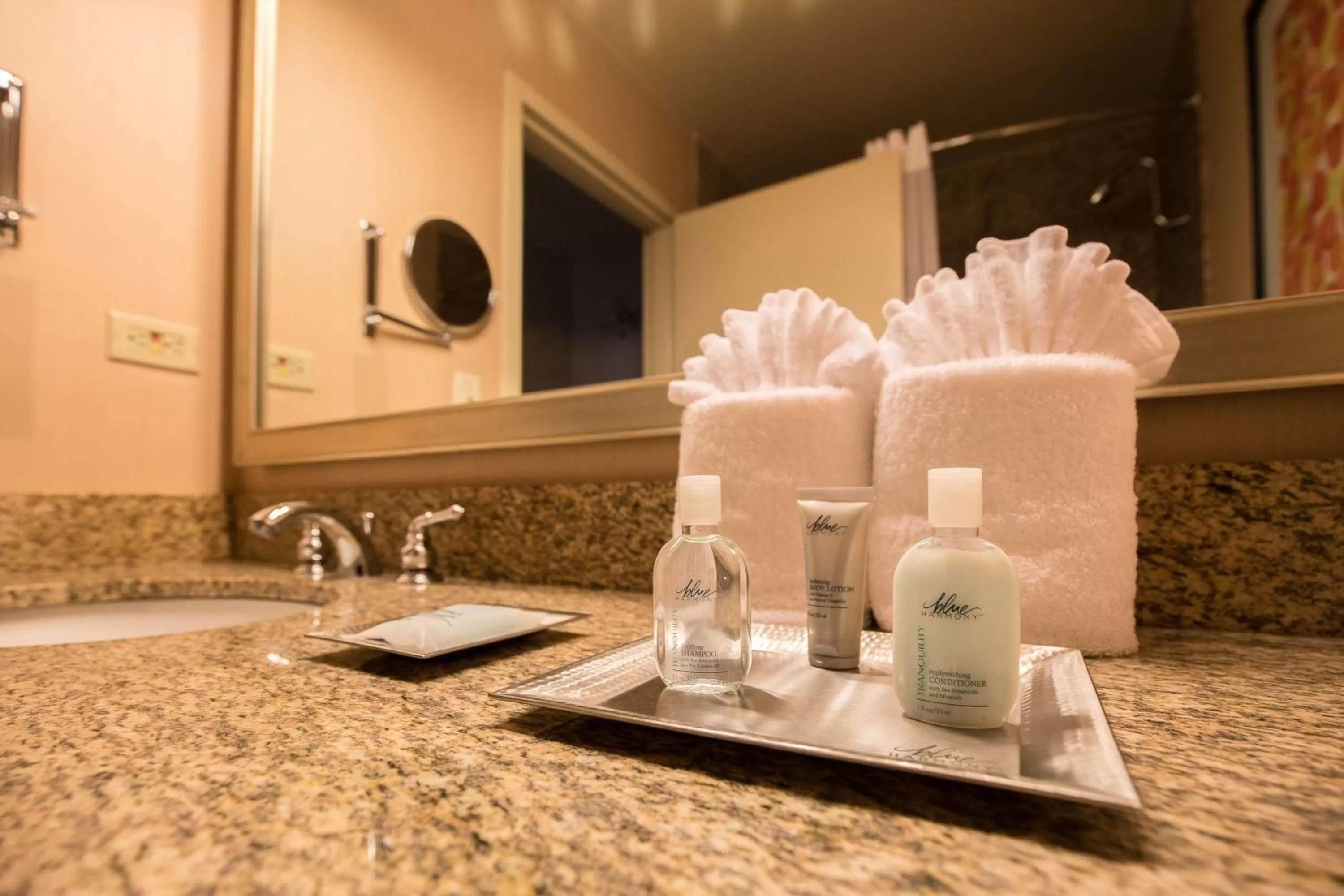 Photo of the whole room in Wyndham Chicago O'Hare