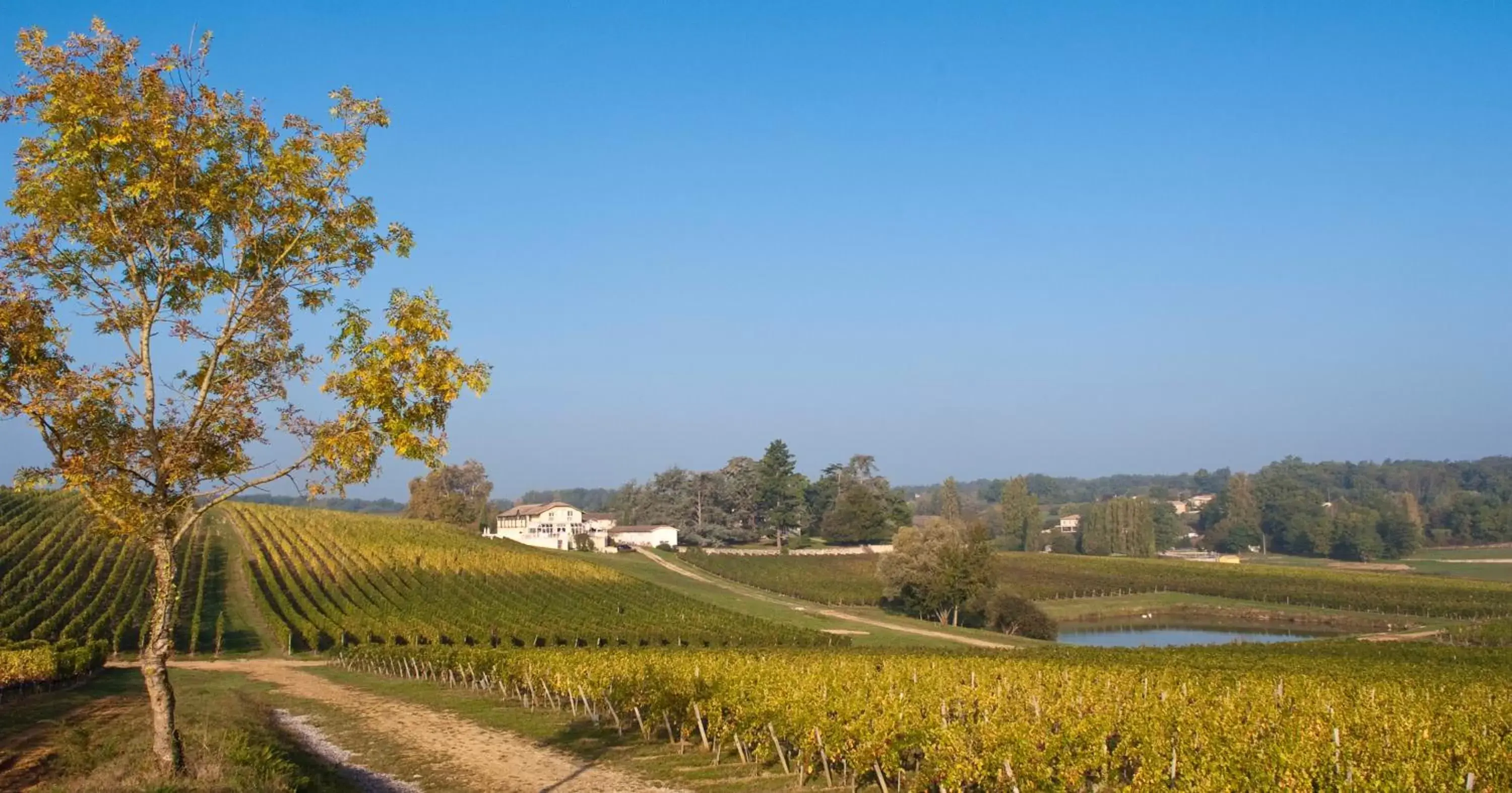 Natural landscape in Les Secrets Château Pey La Tour - Groupe LOGIS HOTELS