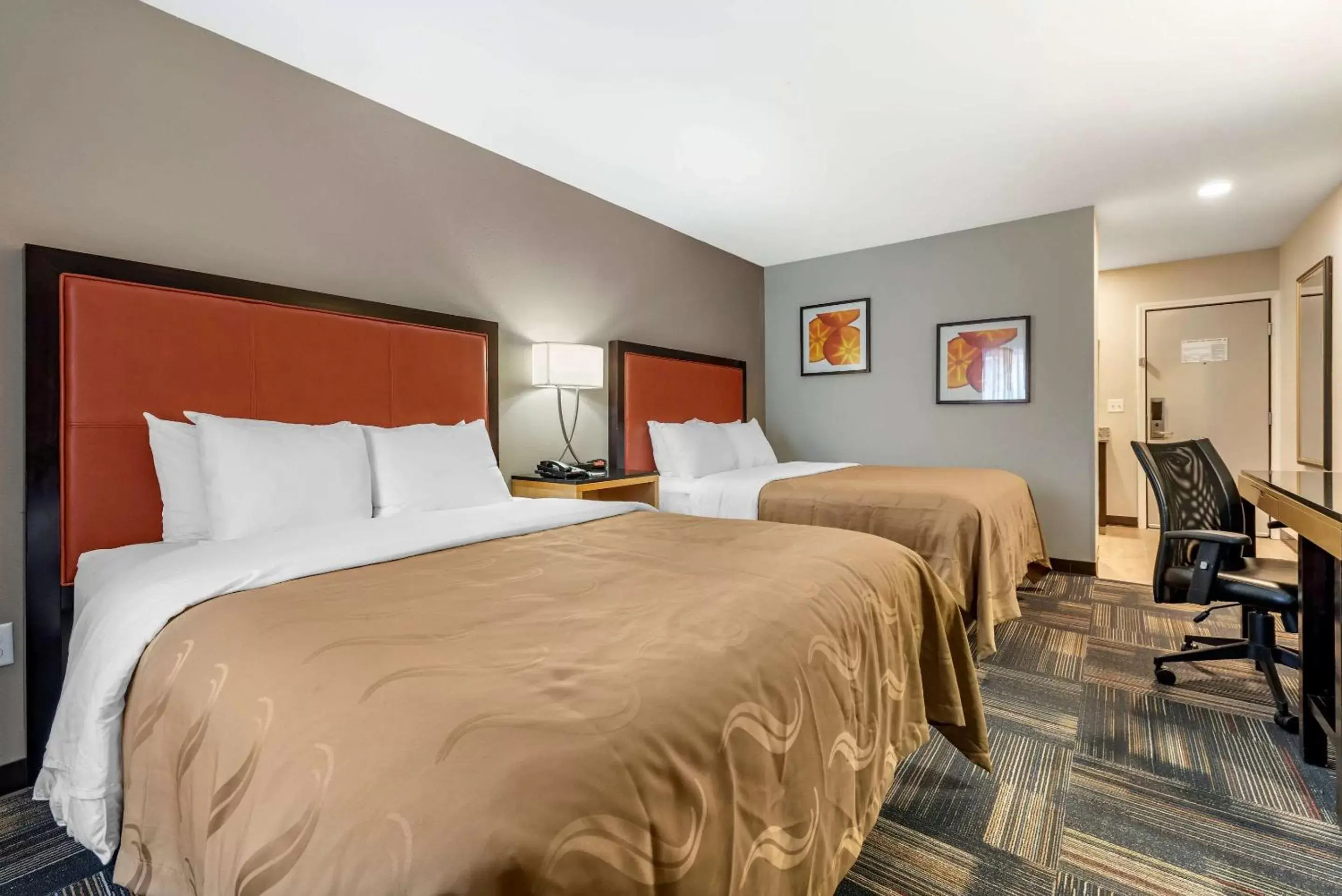 Photo of the whole room, Bed in Quality Inn & Suites Evansville Downtown