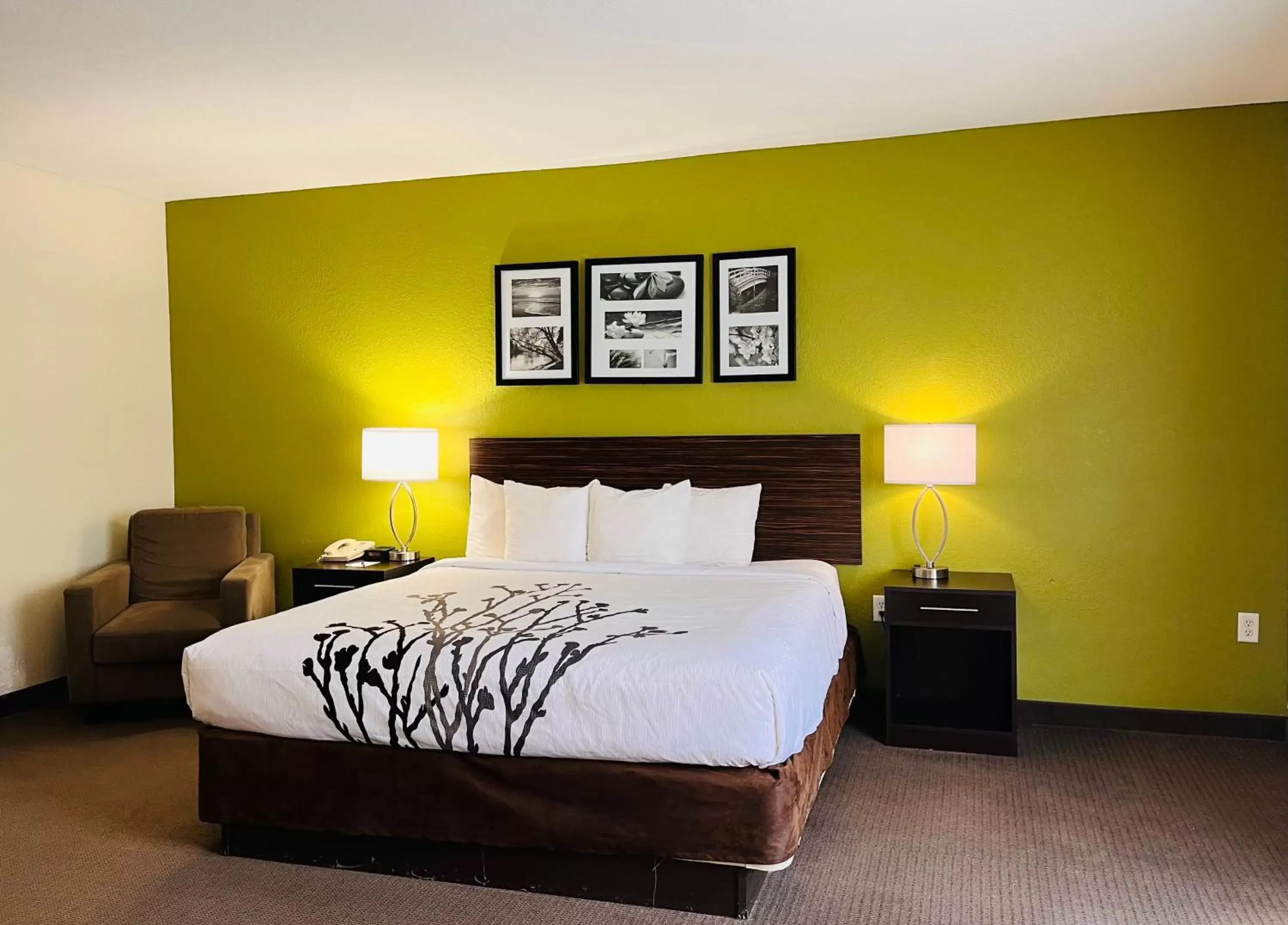 Bed in Sleep Inn & Suites Lakeland I-4