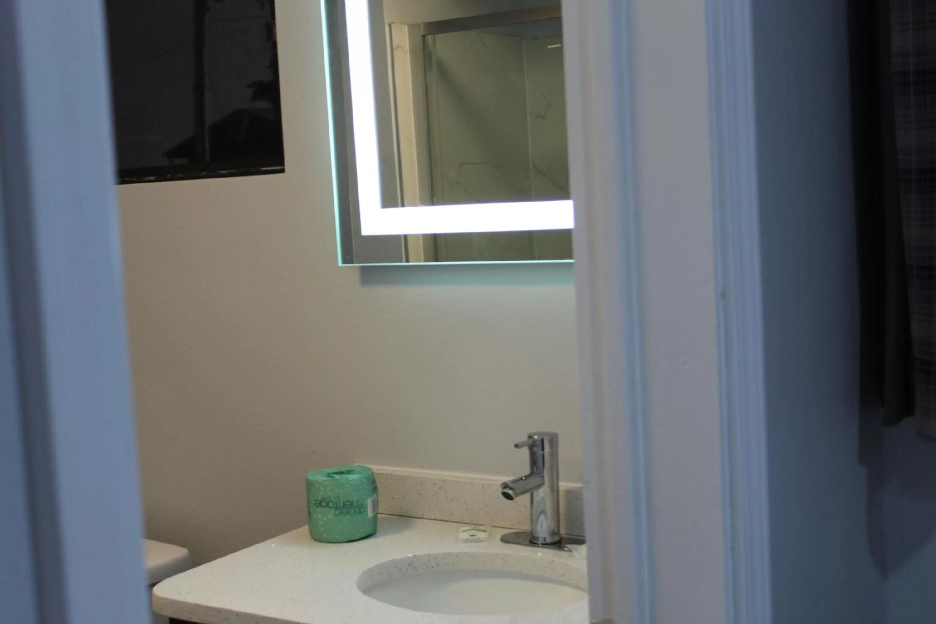 Bathroom in Quality Inn - On The Lake Clarksville-Boydton