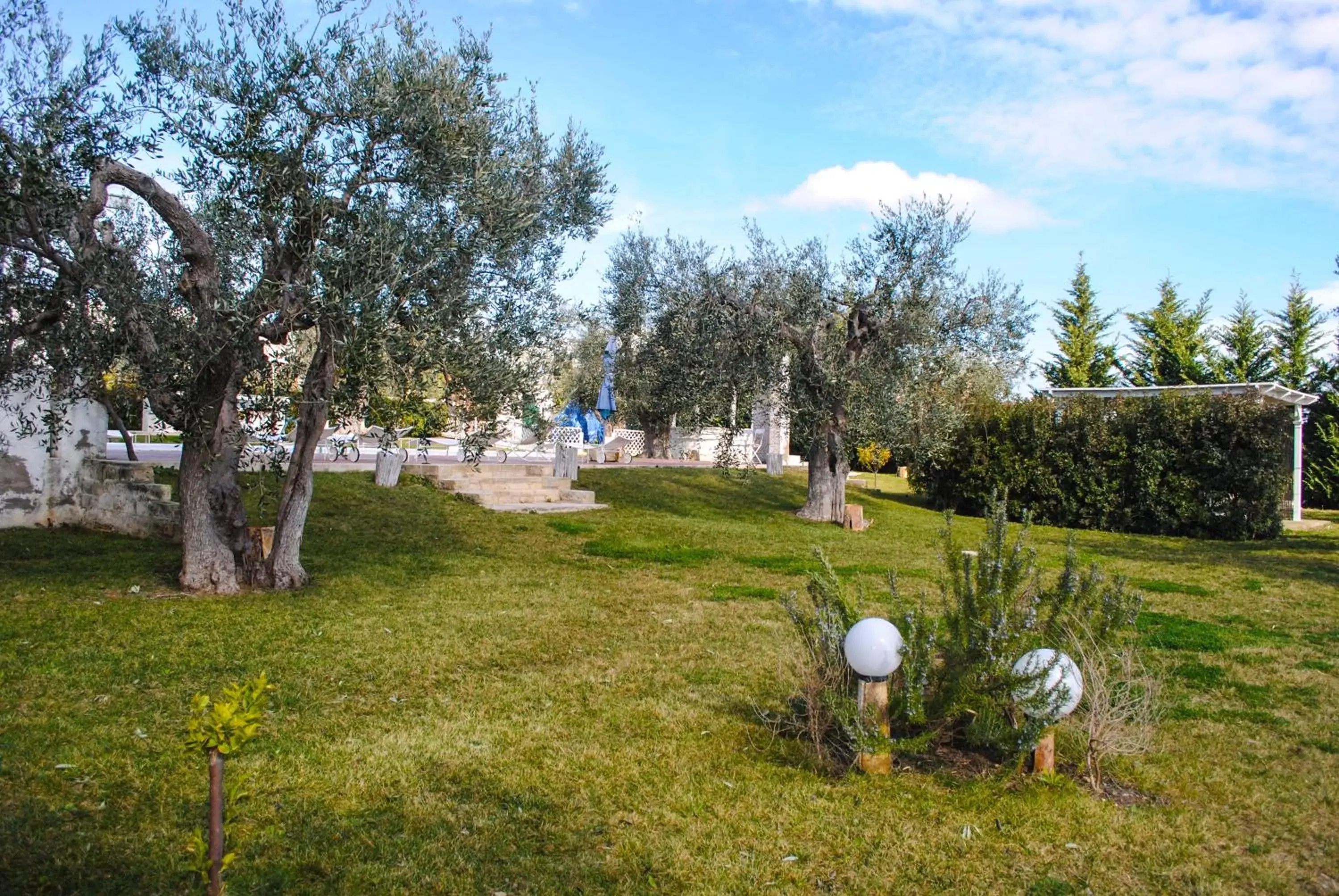 Garden in Hotel Giardino Giamperduto