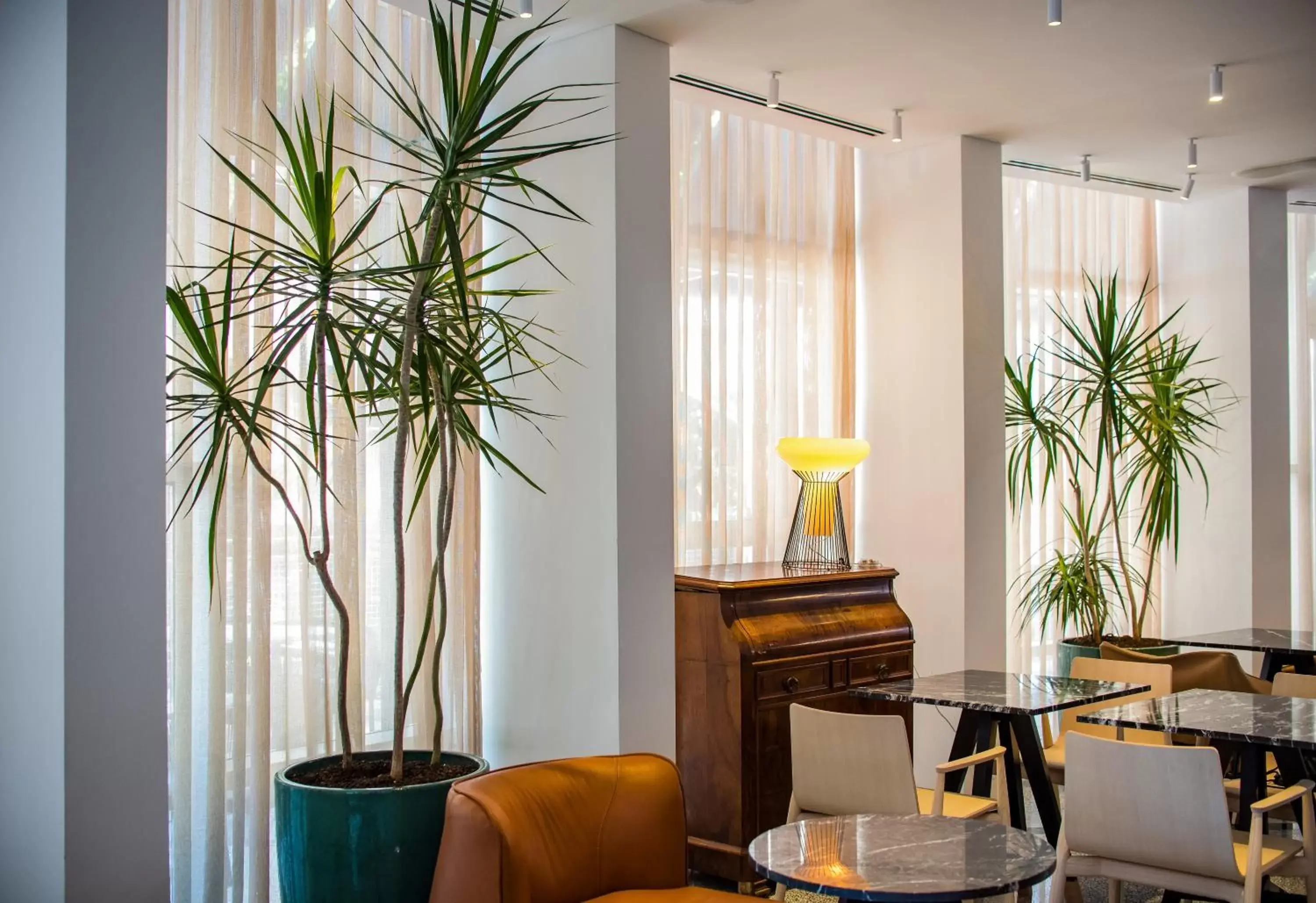 Lobby or reception, Lounge/Bar in 65 Hotel, Rothschild Tel Aviv - an Atlas Boutique Hotel