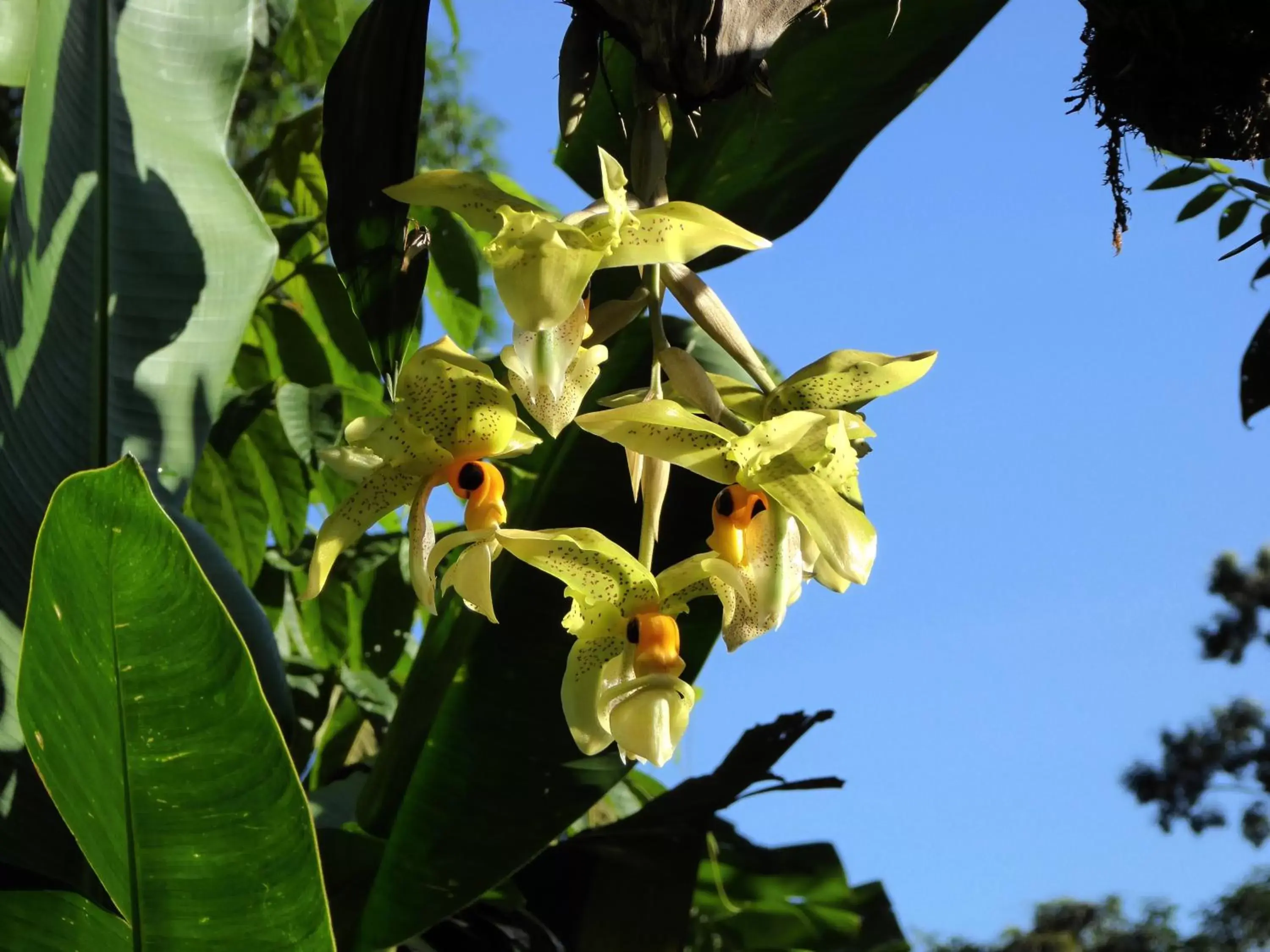 Natural landscape in Pura Vida Hotel