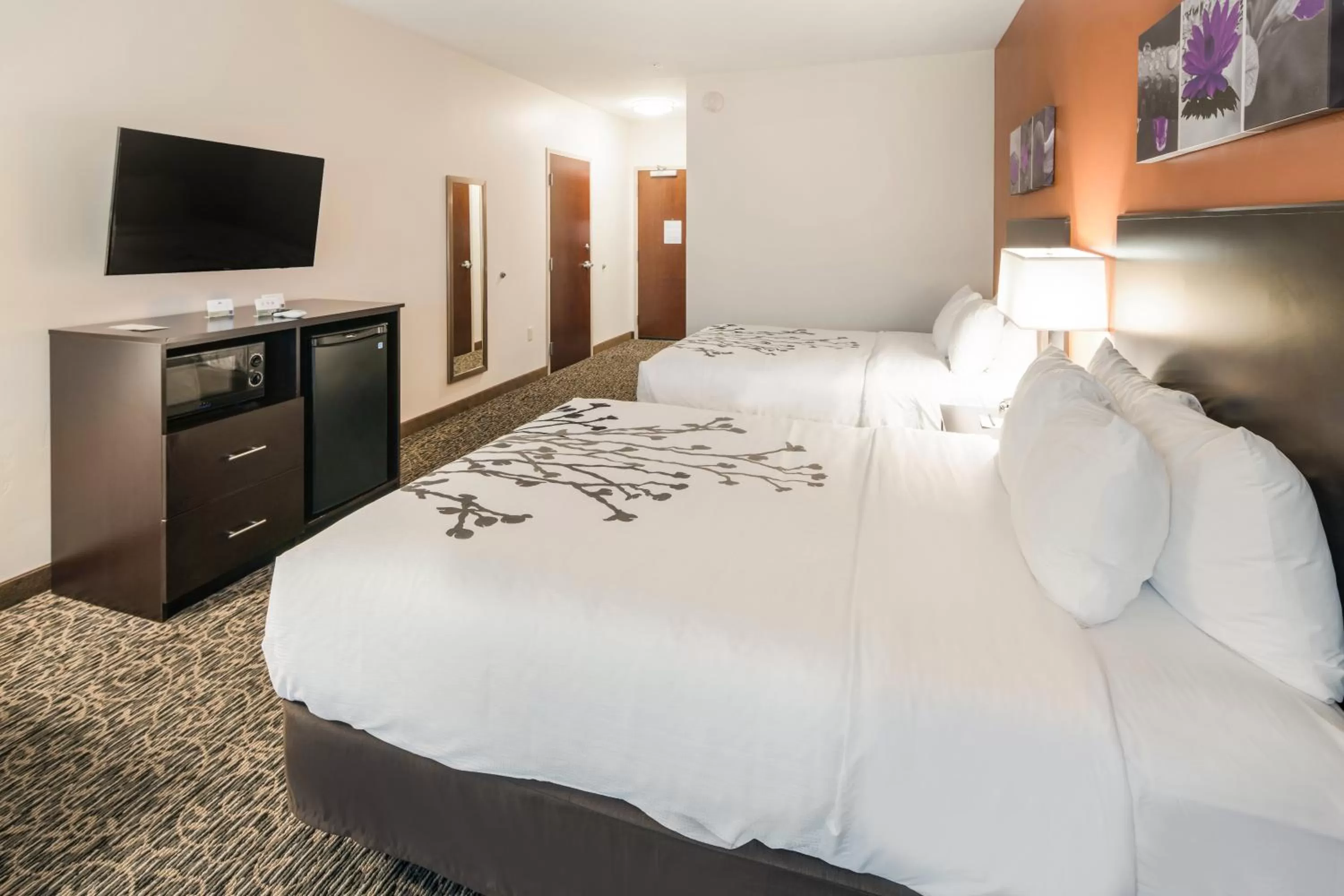 TV and multimedia, Bed in Sleep Inn & Suites Hurricane Zion Park Area