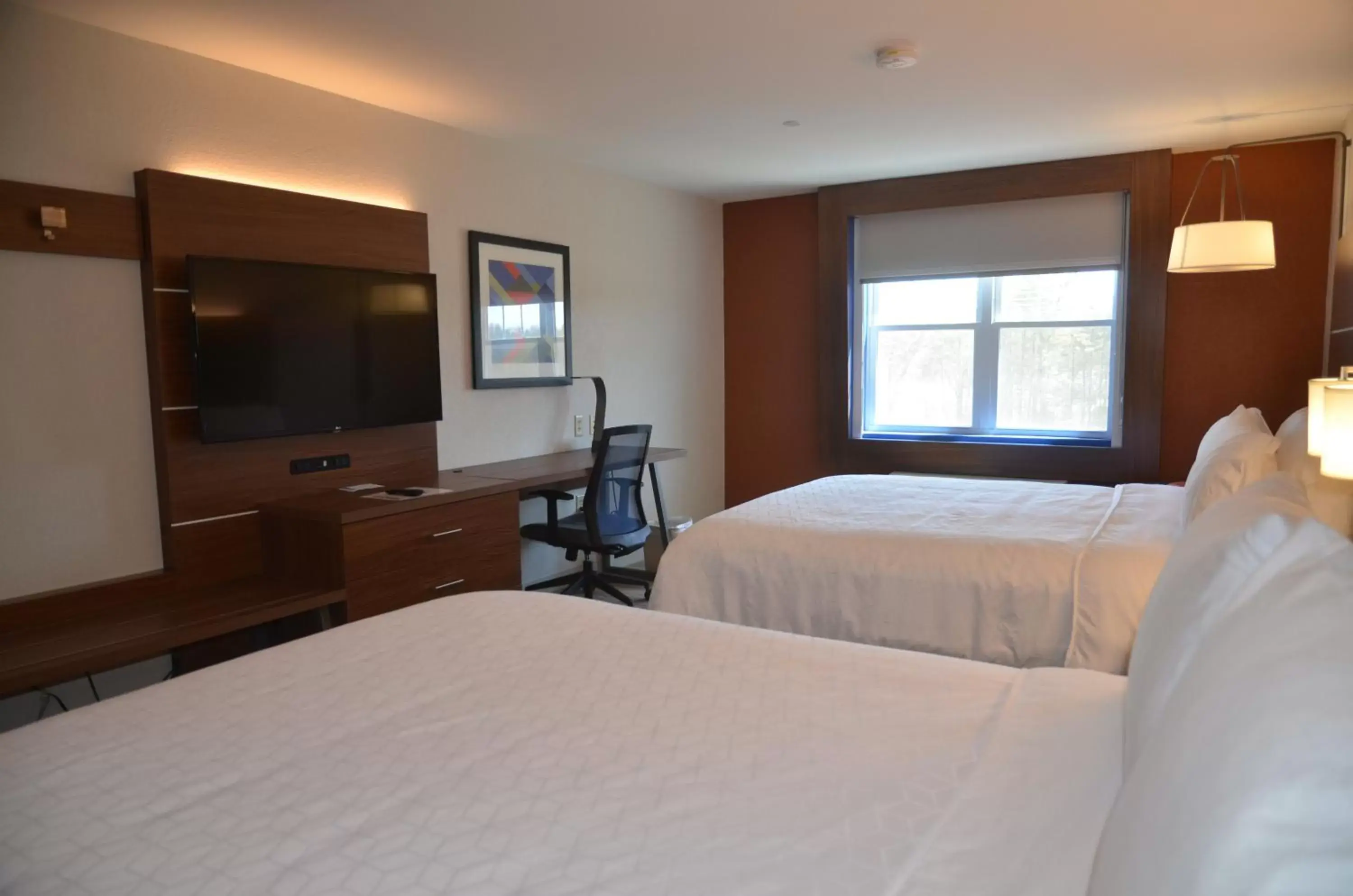 Photo of the whole room, Bed in Holiday Inn Express Hotel & Suites Rochester, an IHG Hotel