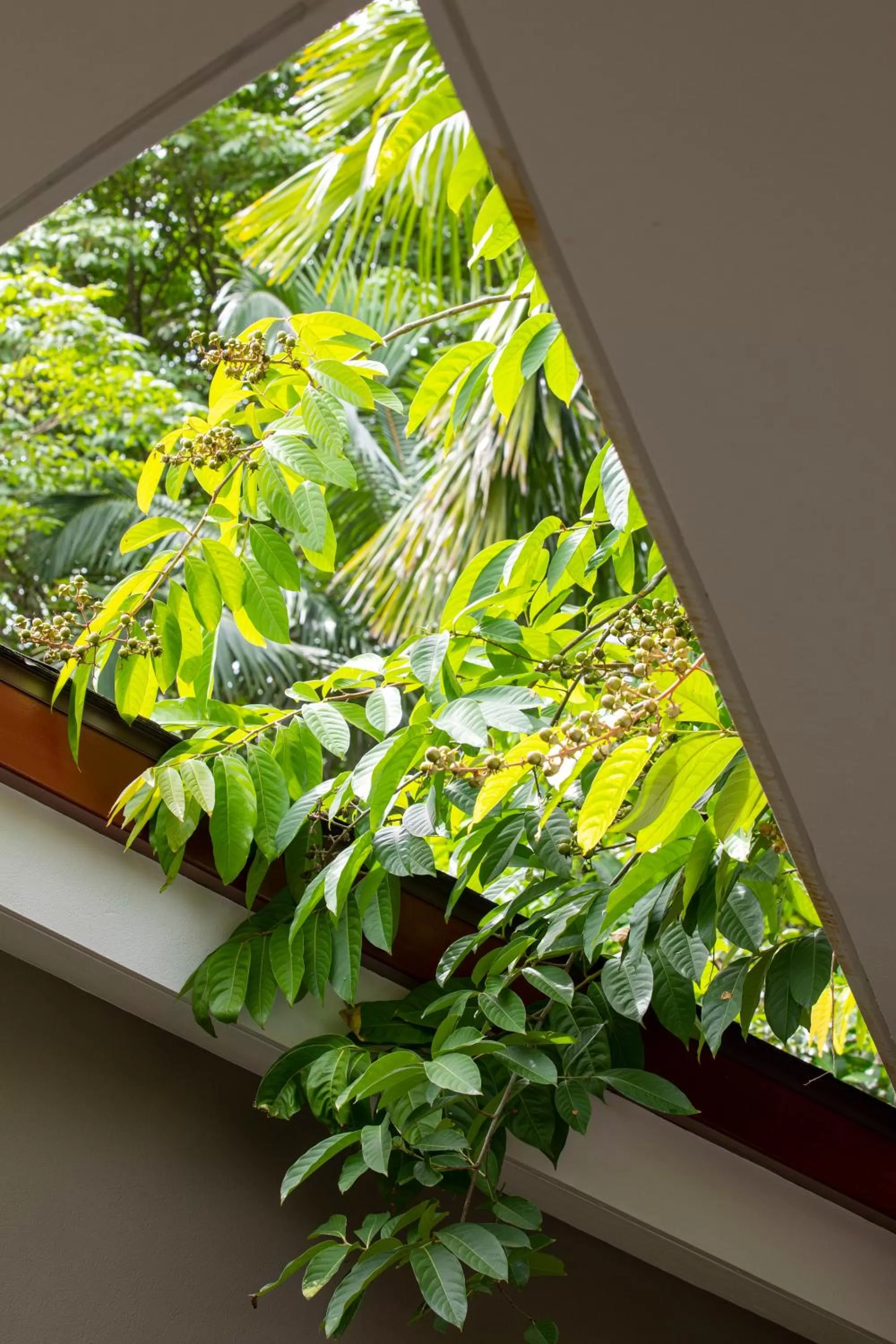 Patio in Pumilio Mountain & Ocean Hotel