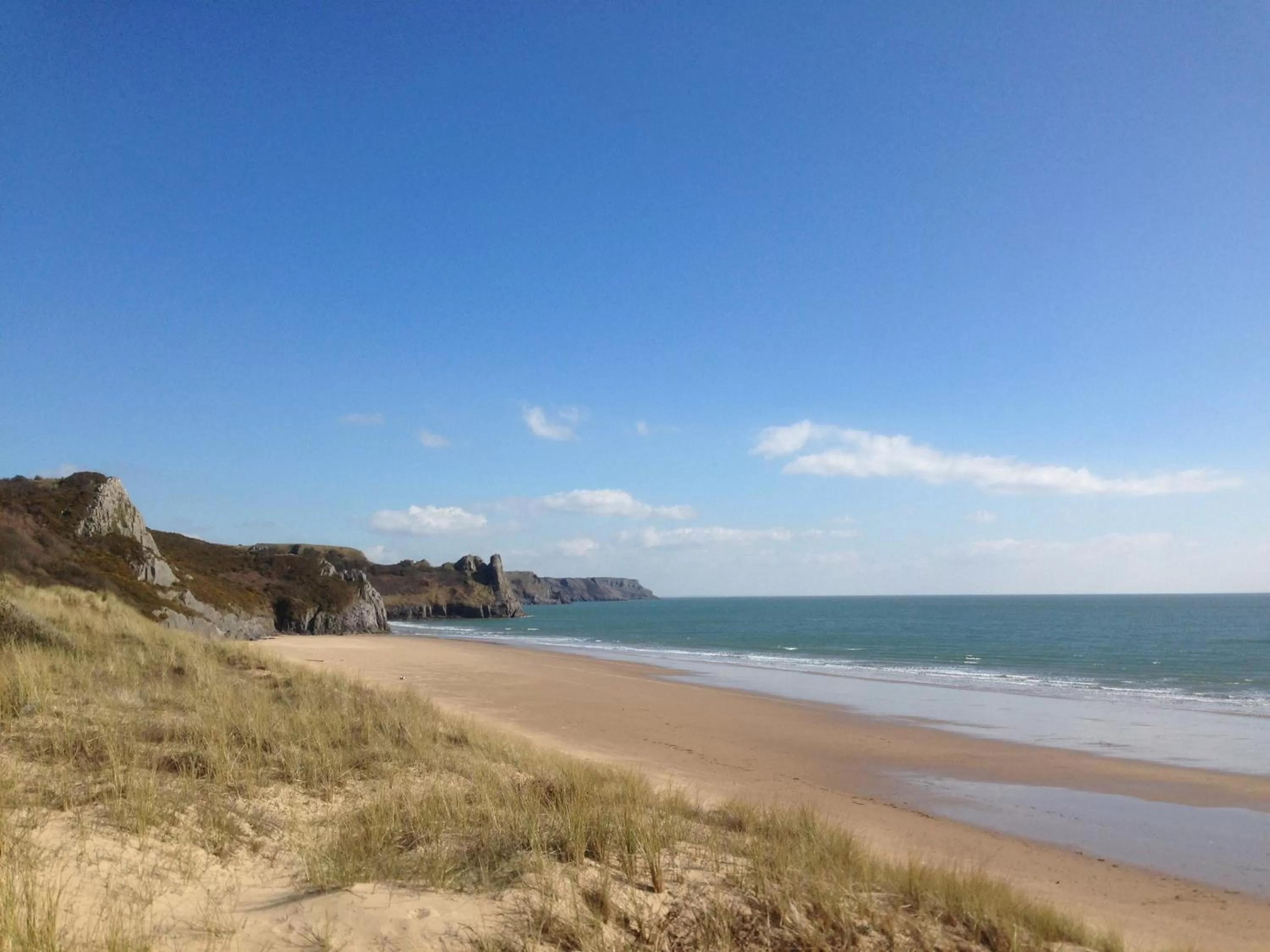 Natural landscape in Patricks Boathouse