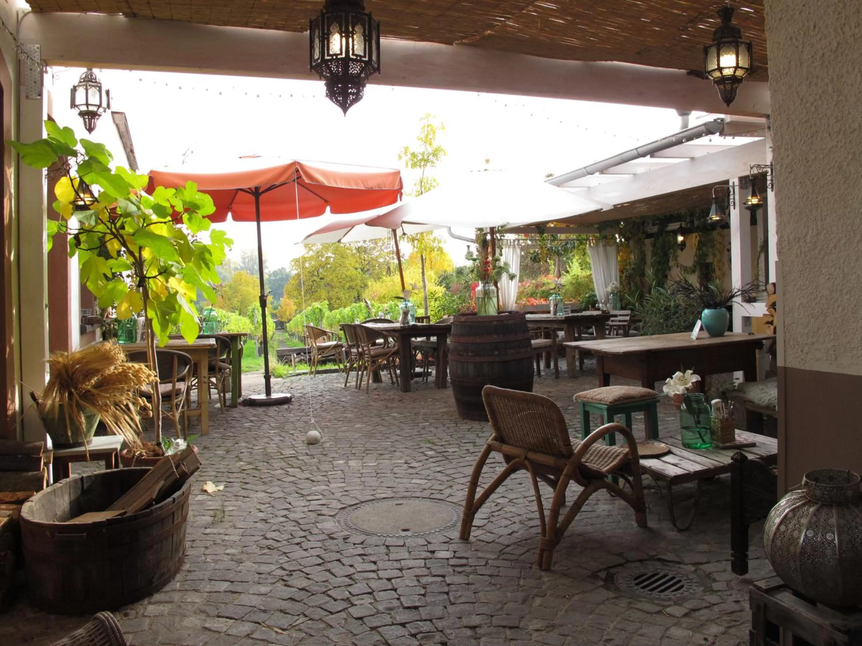 Restaurant/places to eat in Liegen;schaft Guesthouse
