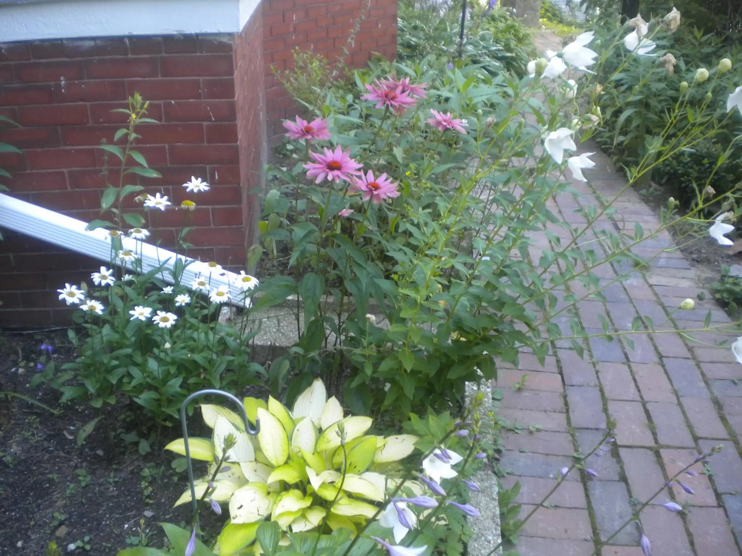 Other, Garden in Fleetwood House Bed and Breakfast