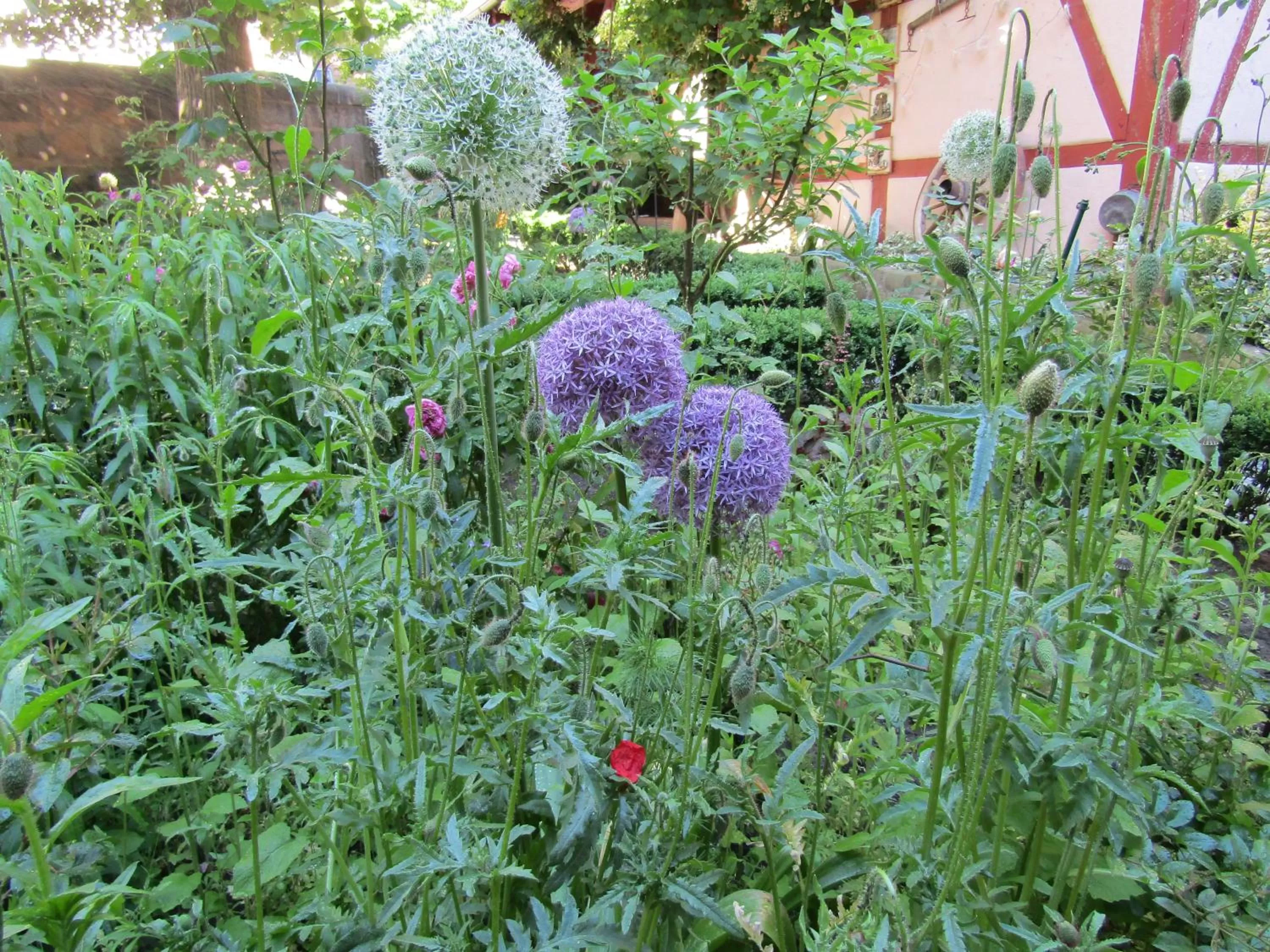 Garden in Hotel und Gasthof Ritter St. Georg