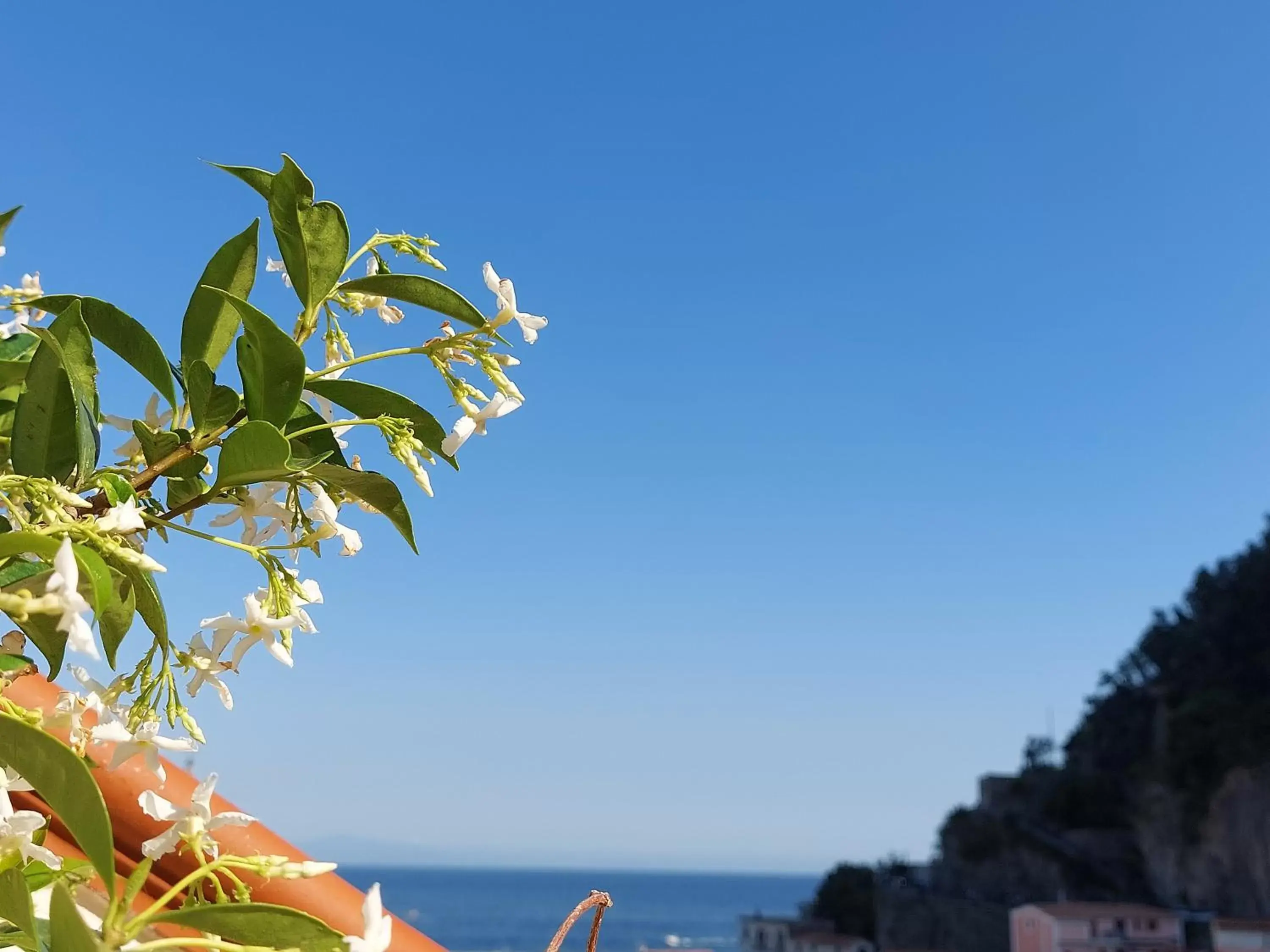 Sea view in B&B Domus San Pietro