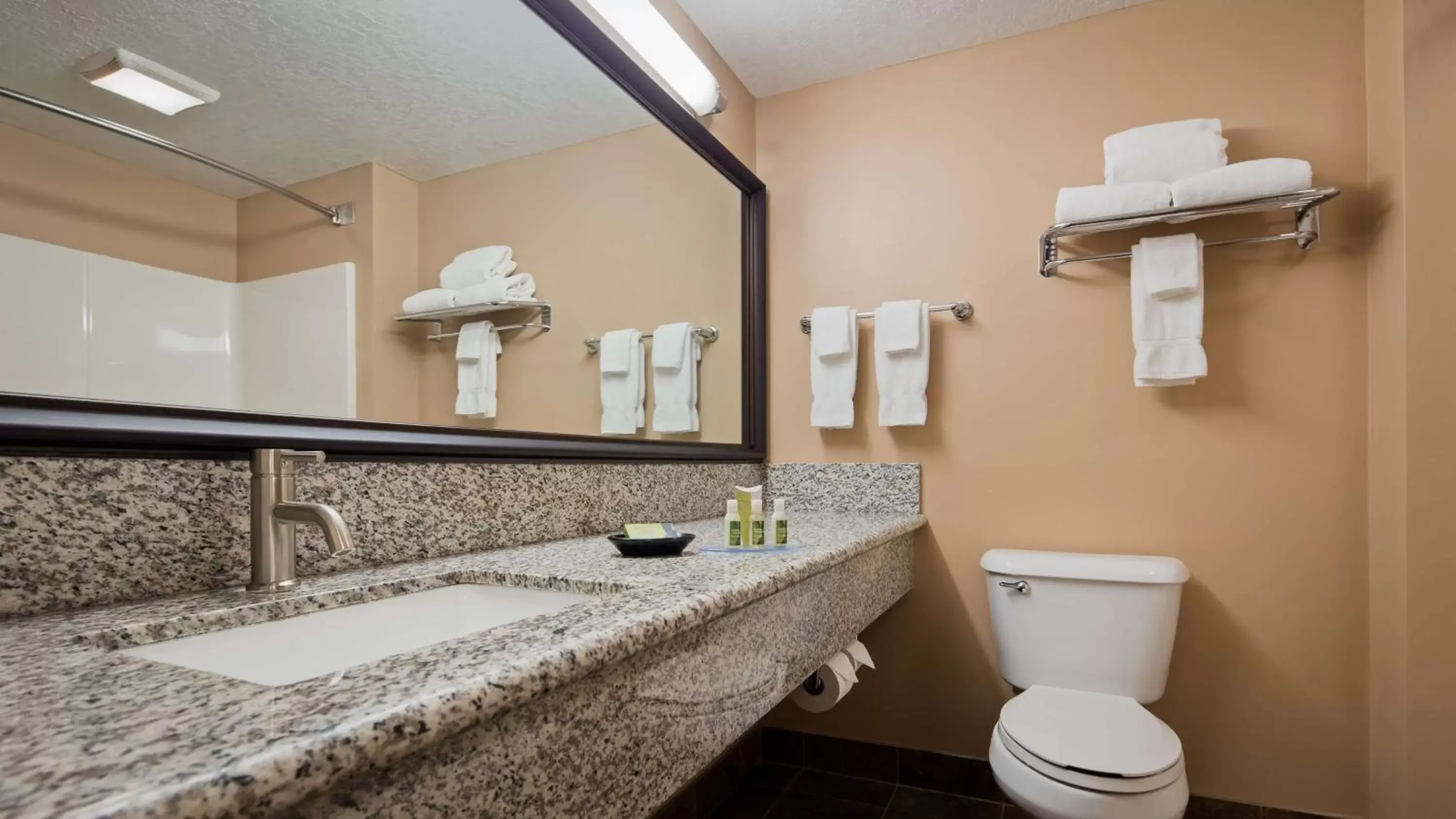 Bathroom in Best Western Plus Coldwater Hotel