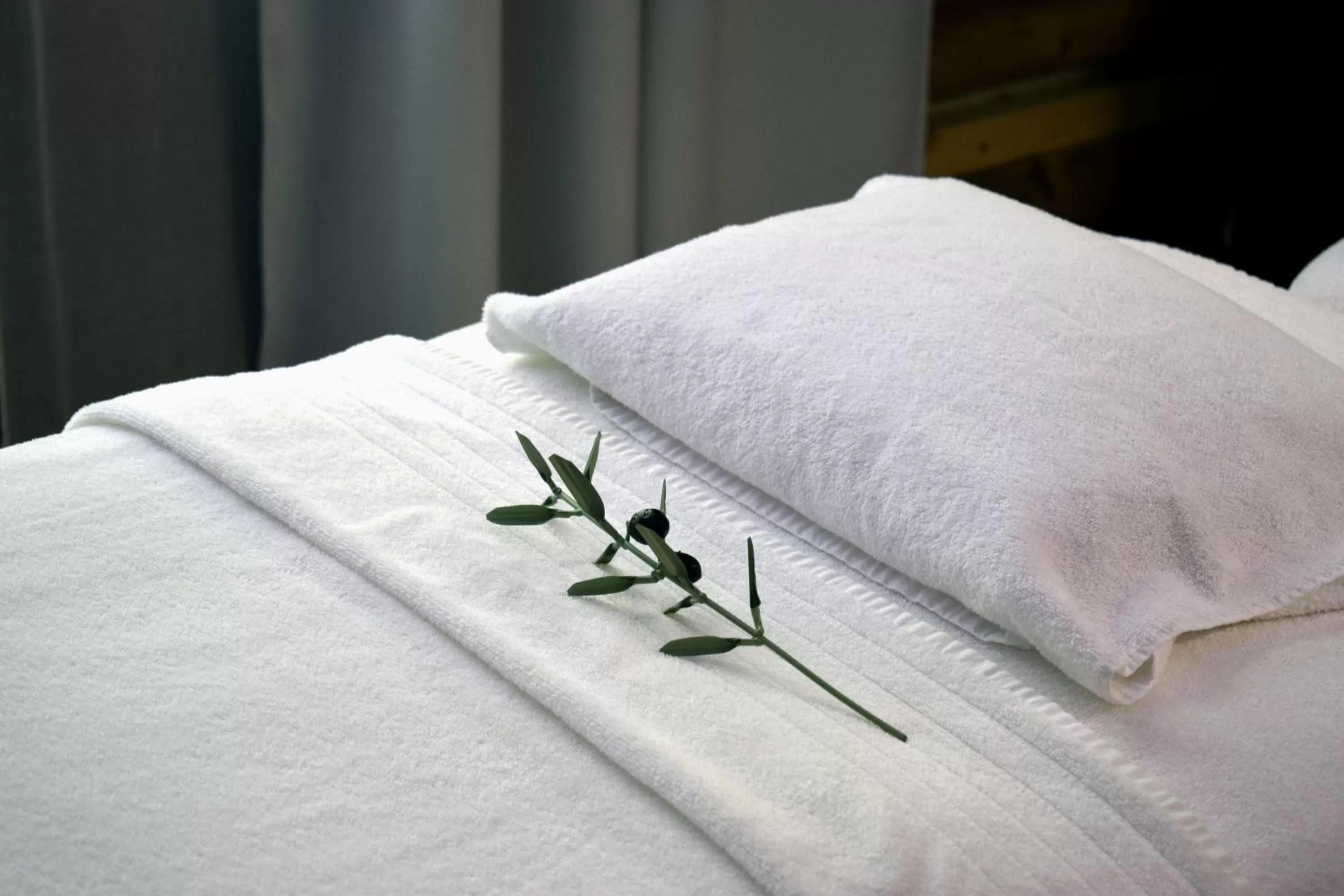 Spa and wellness centre/facilities, Bed in Baumanière - Les Baux de Provence