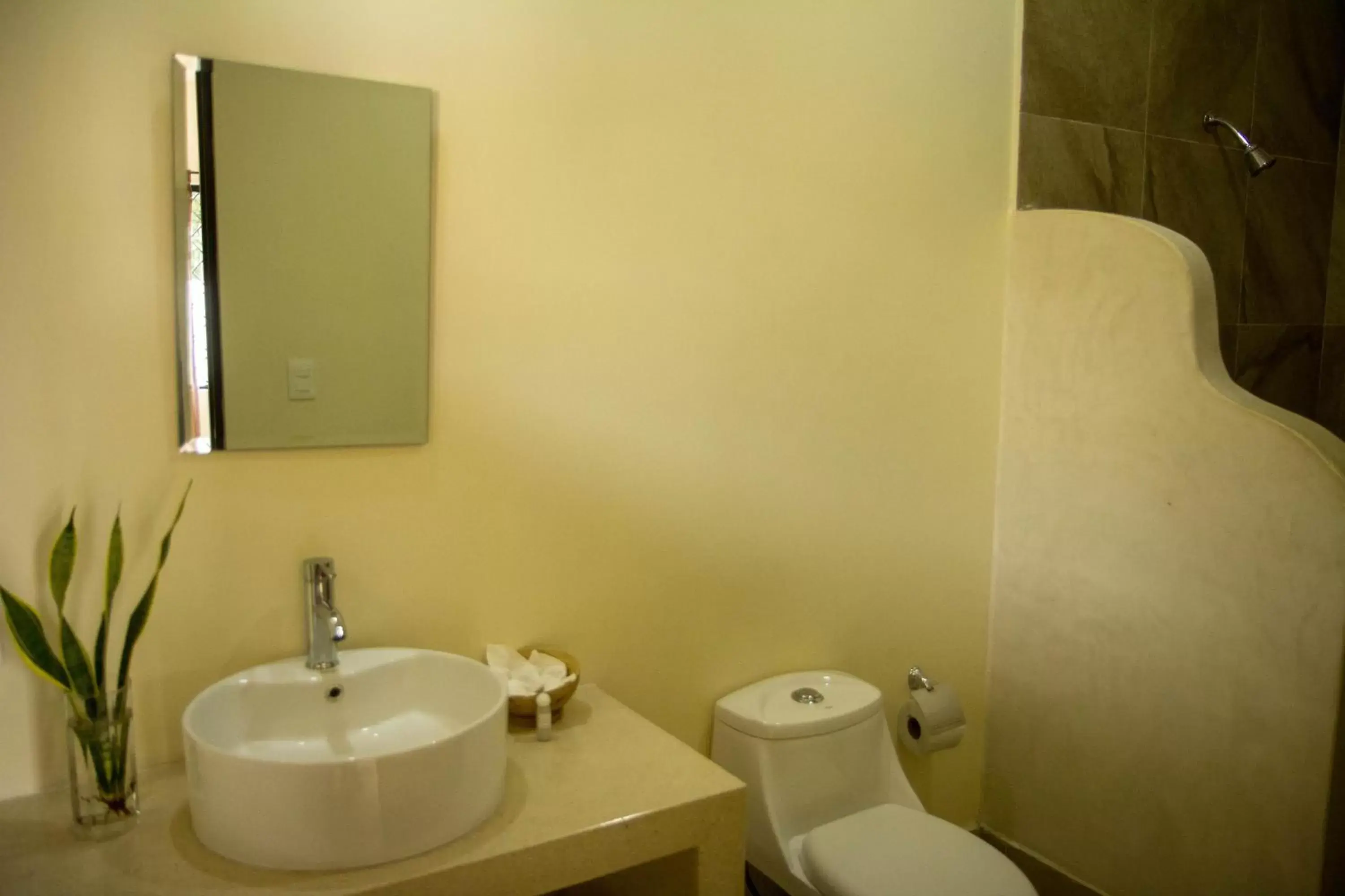 Decorative detail, Bathroom in Hotel Hacienda Izamal