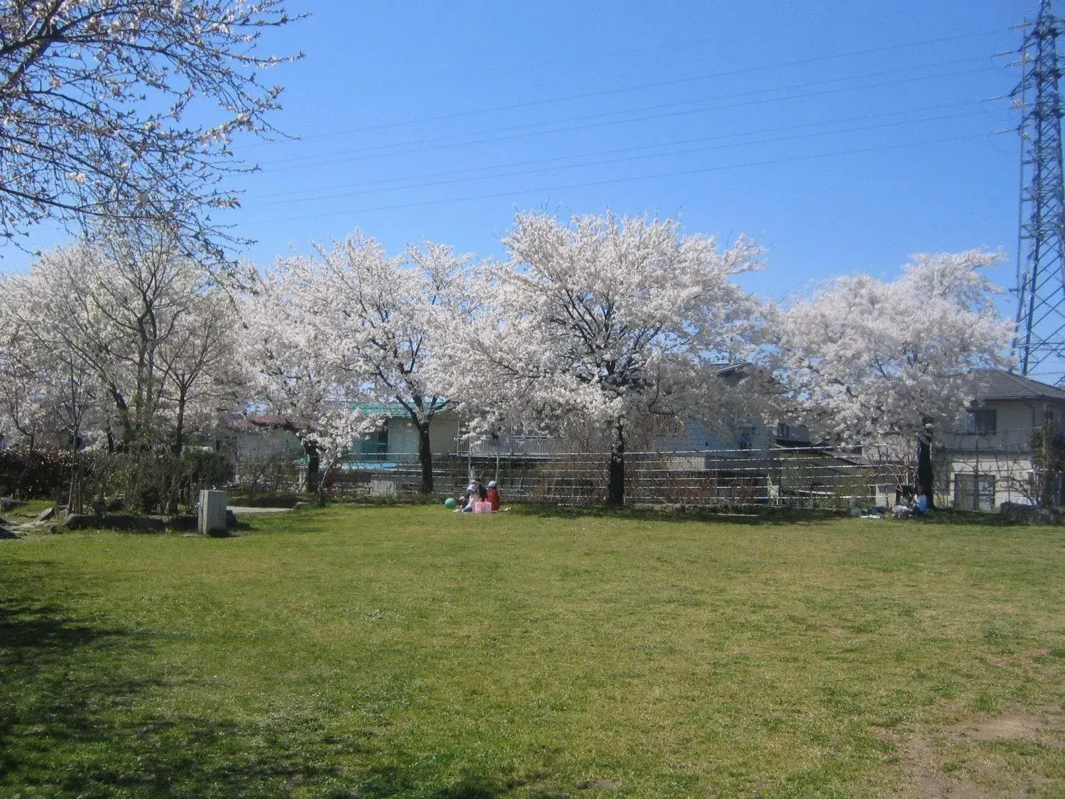 Other, Garden in Ryokan Hakura