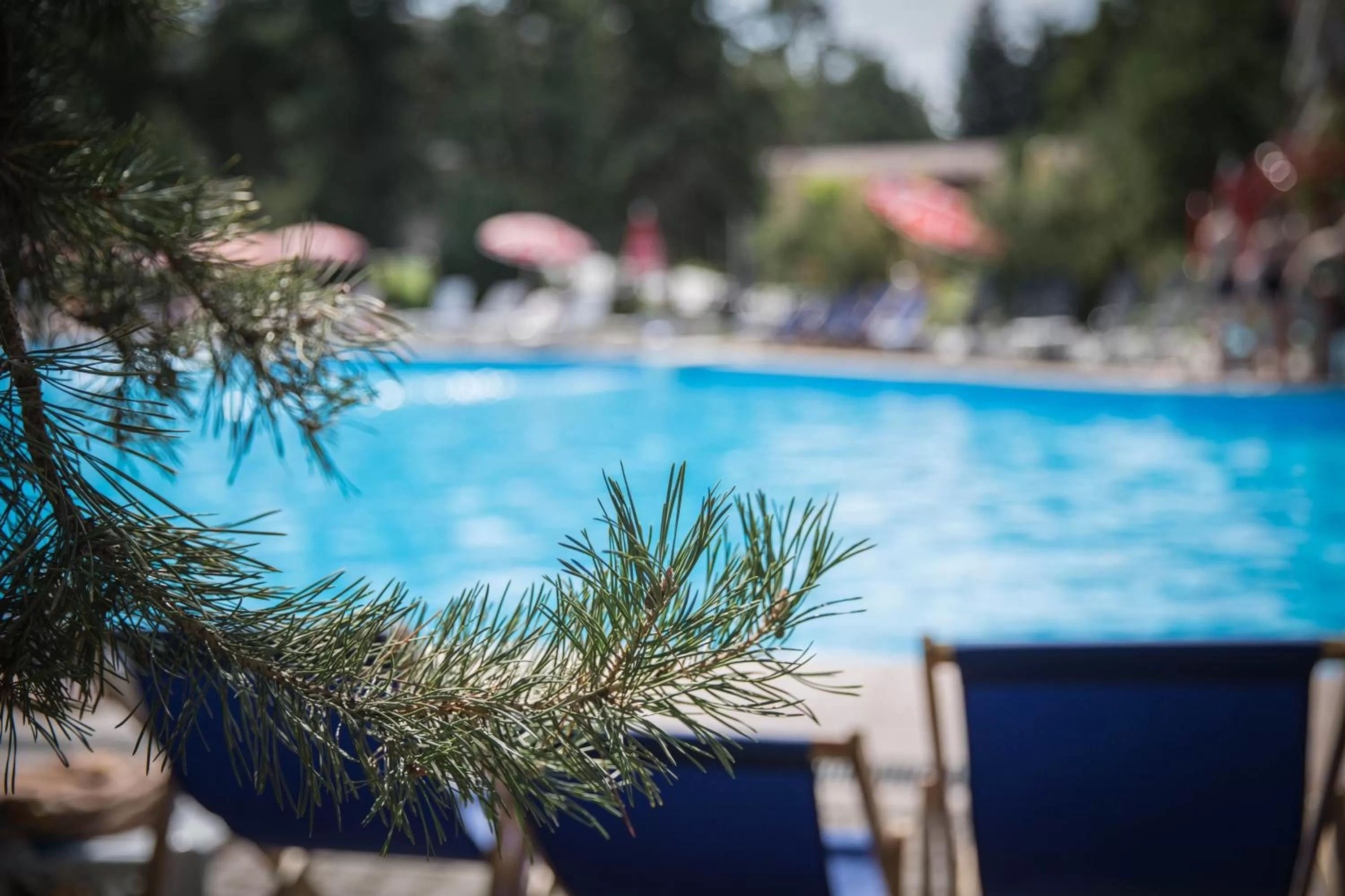 Pool view in Alpen Ville