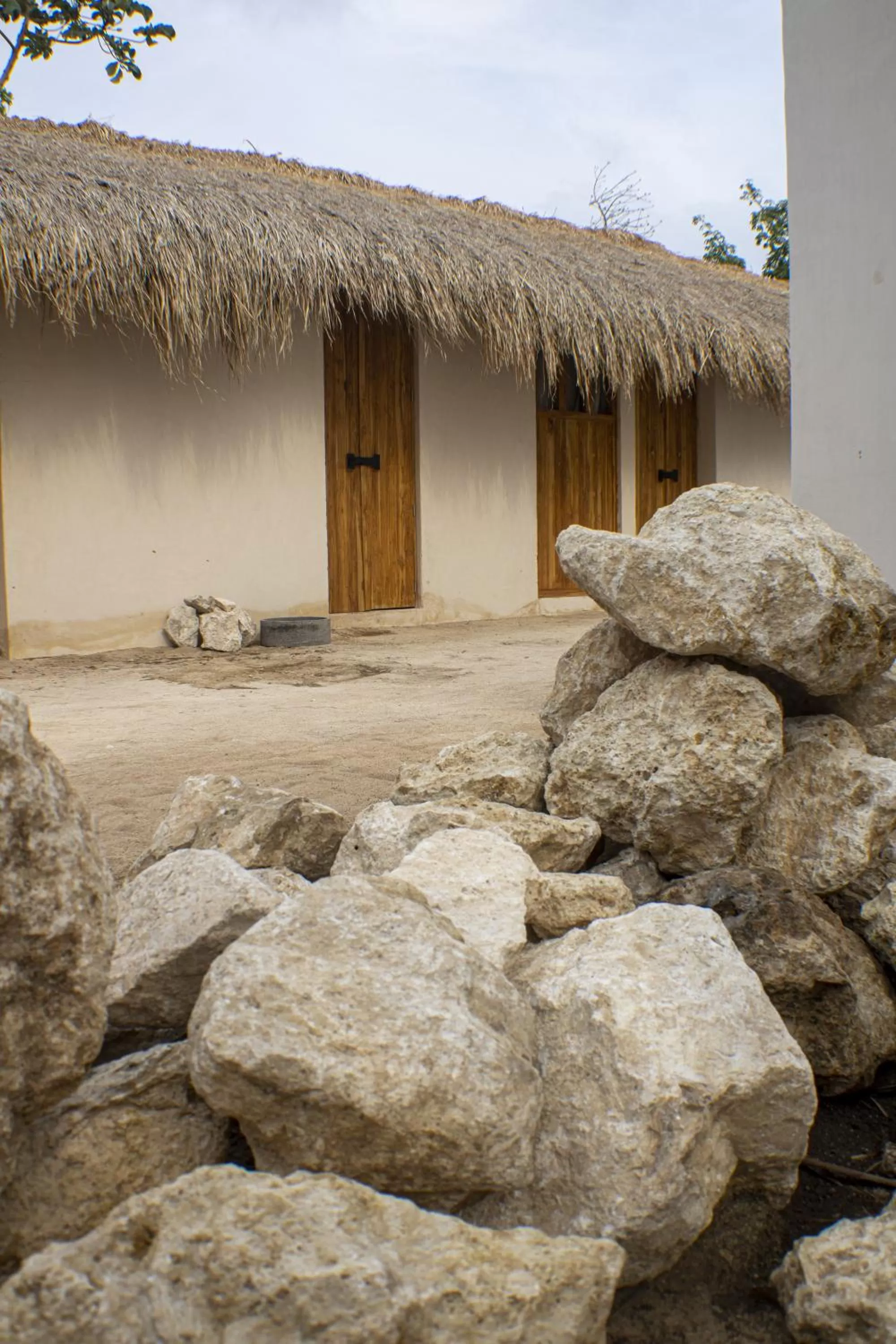 Property building in Zenote Sanctuary