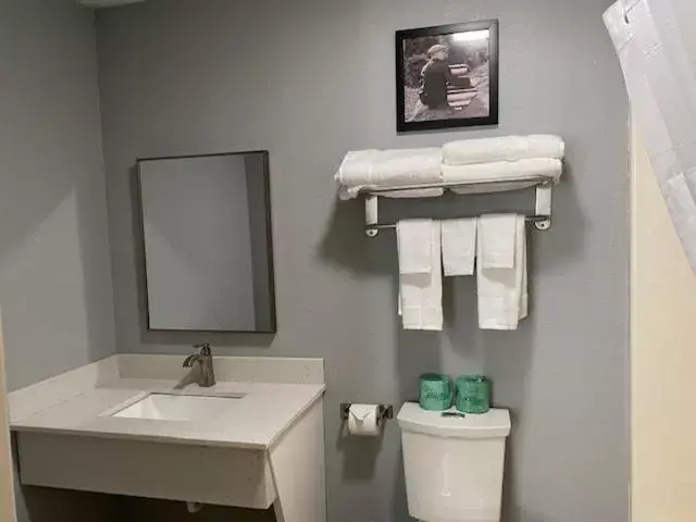 Bathroom in AmericInn by Wyndham Williamsburg