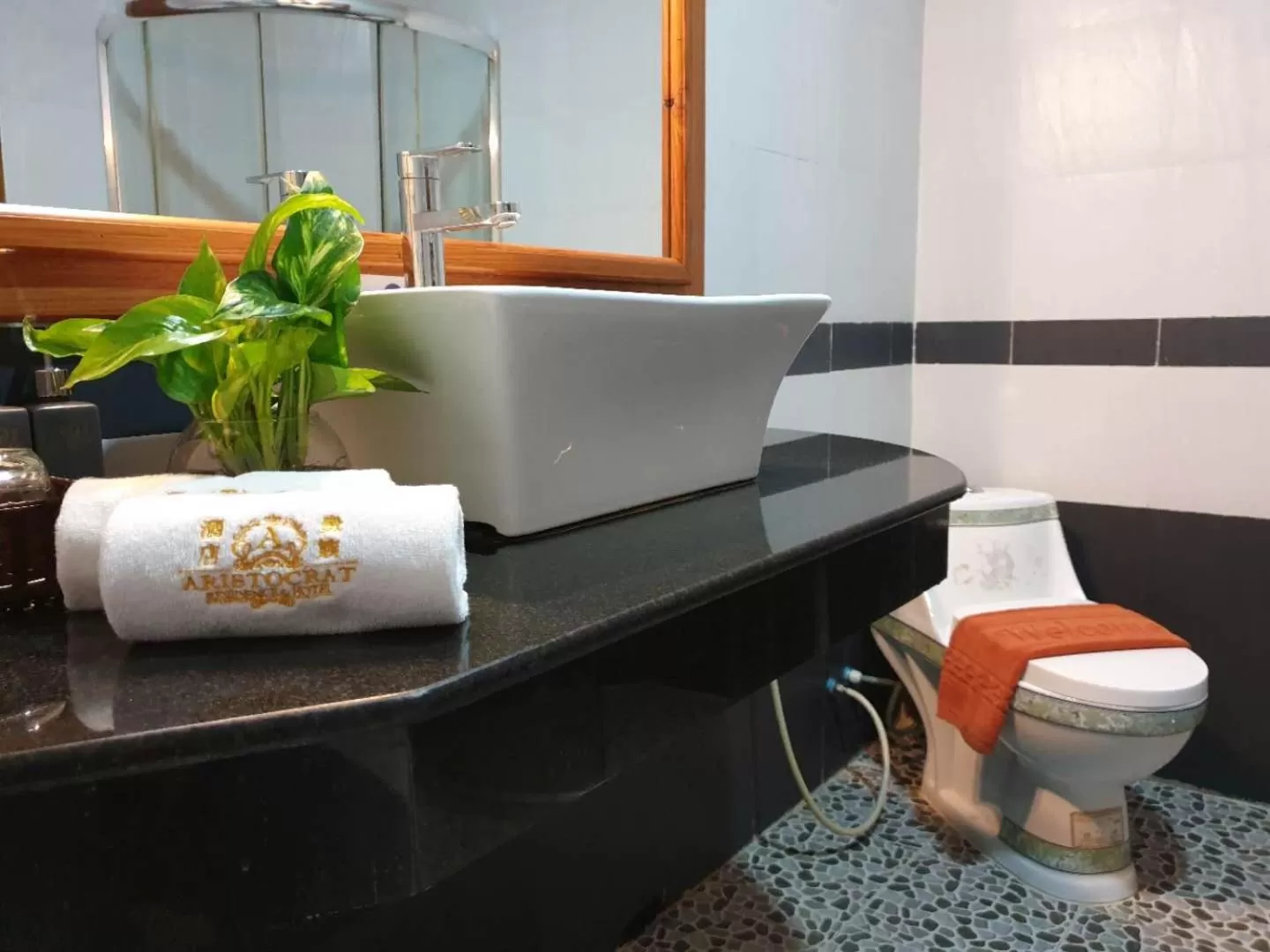 Shower in Aristocrat Residence & Hotel