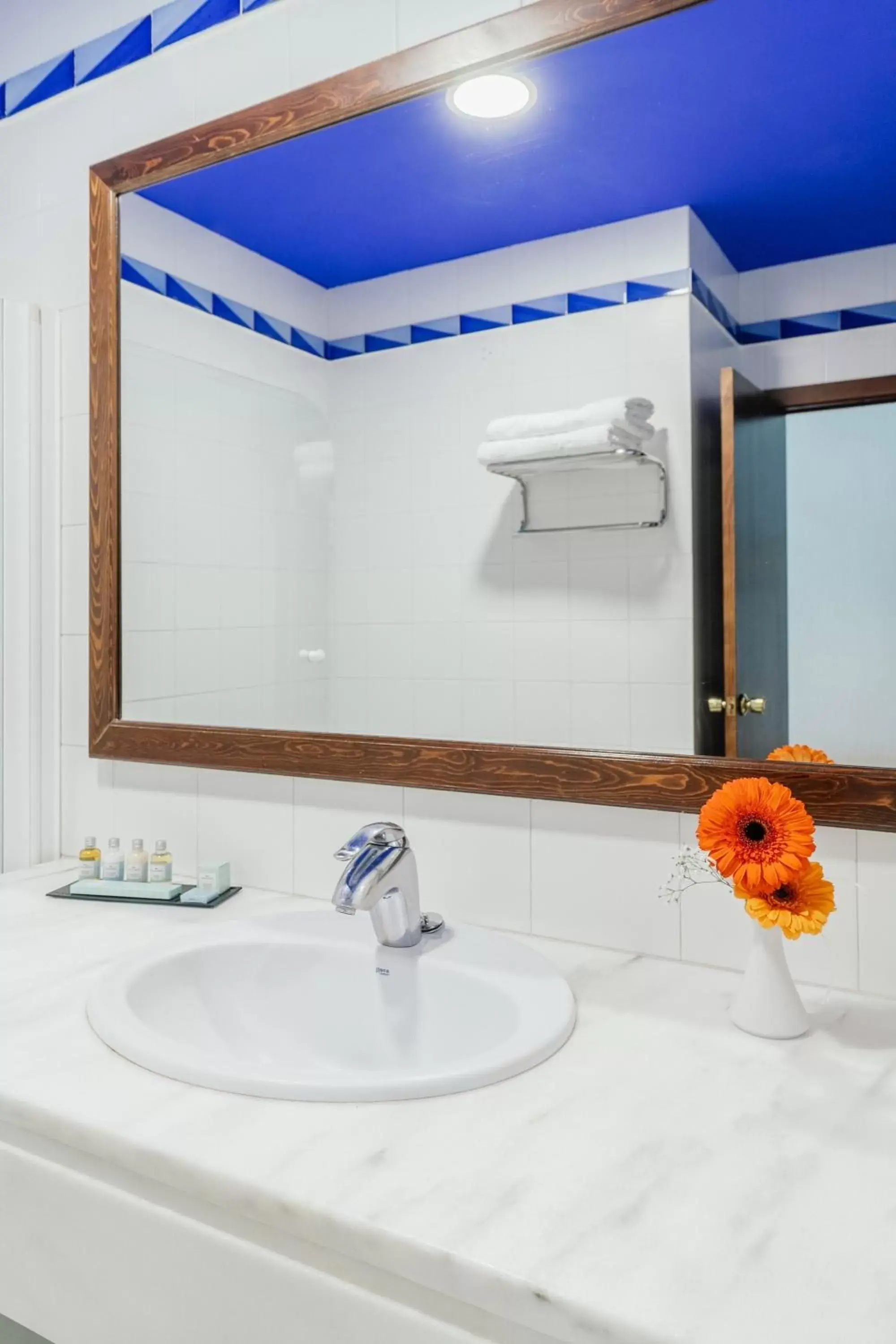 Decorative detail, Bathroom in Parador de Manzanares