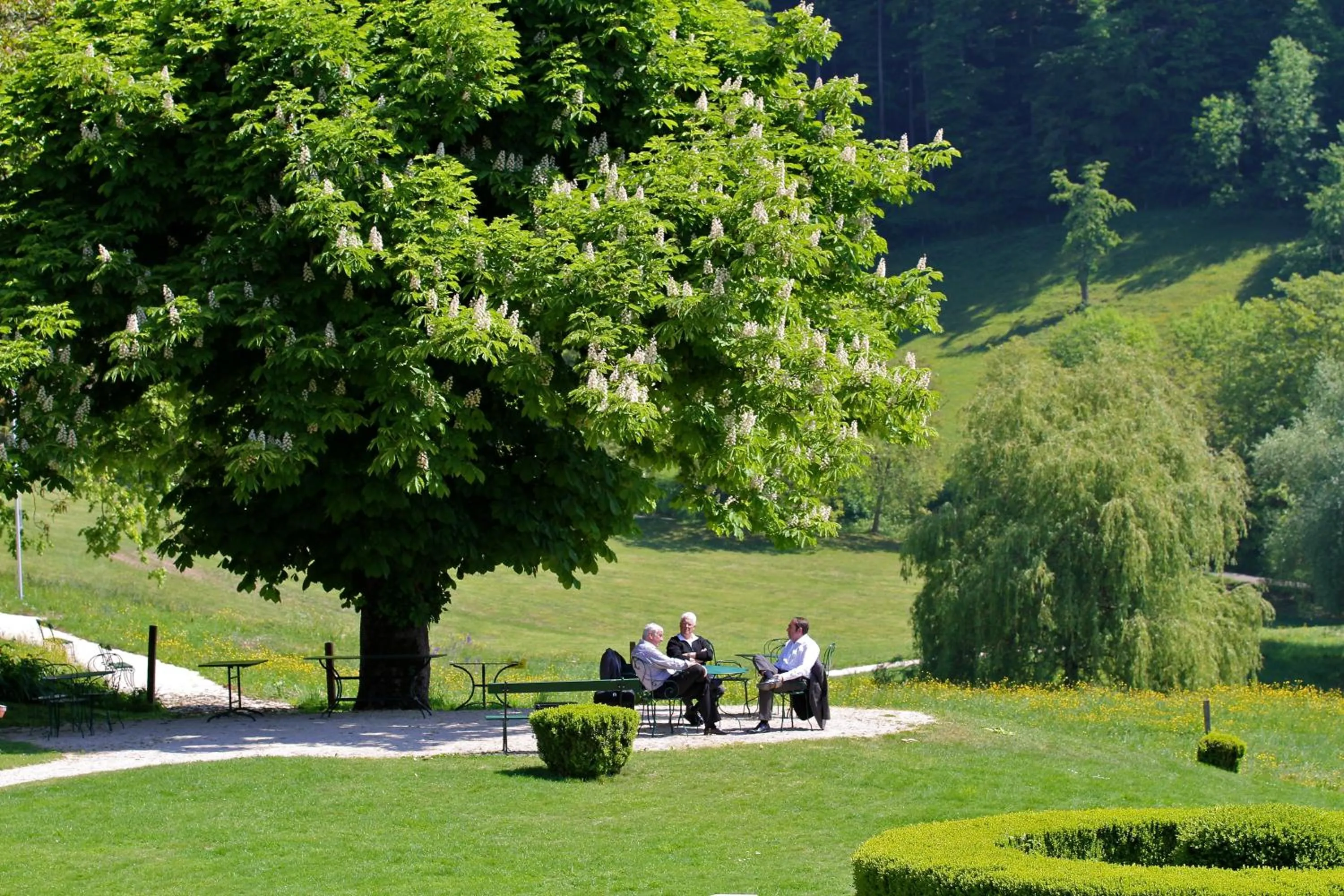 Day in Bad Schauenburg