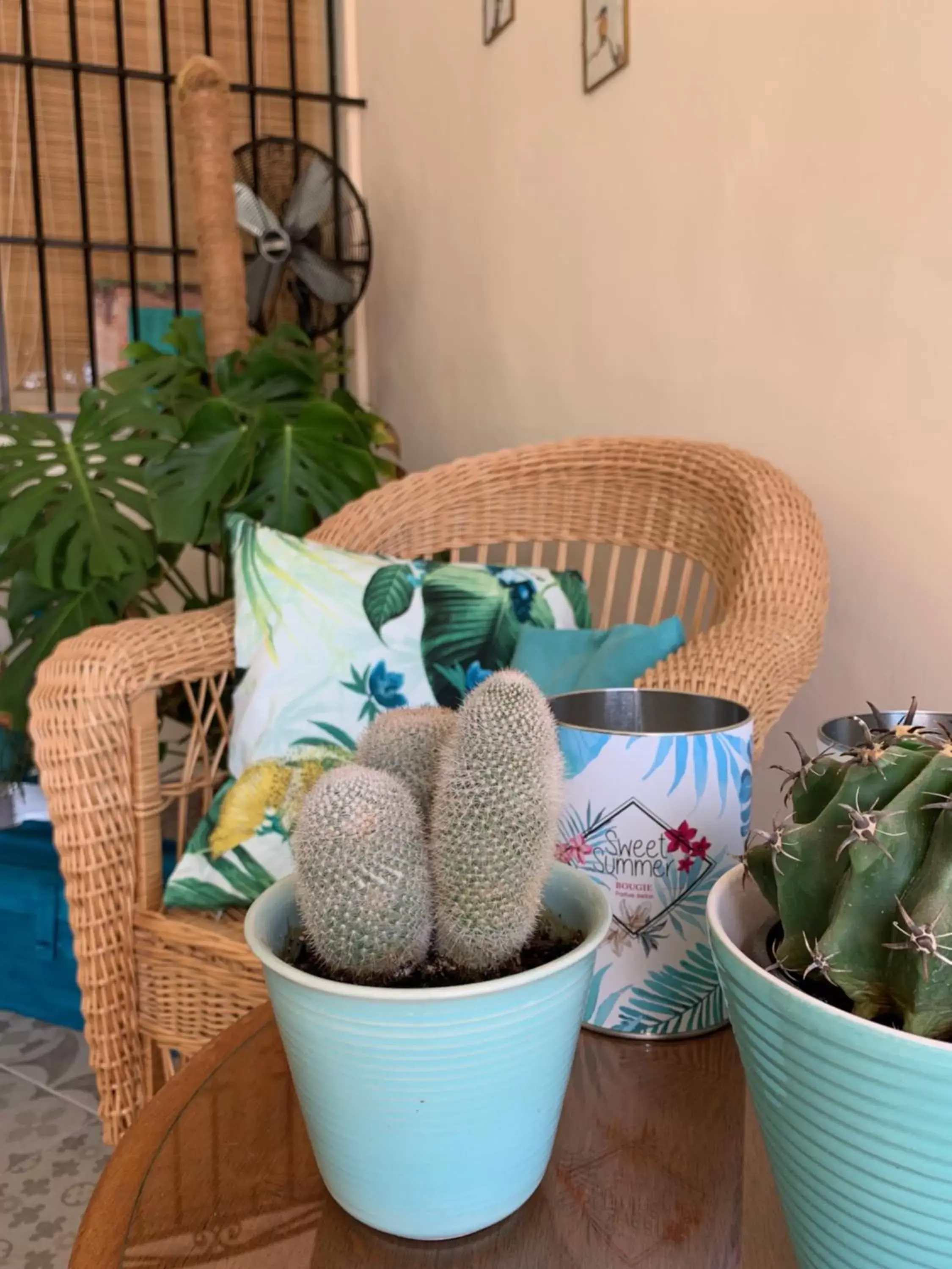 Seating Area in Casa Alestelou