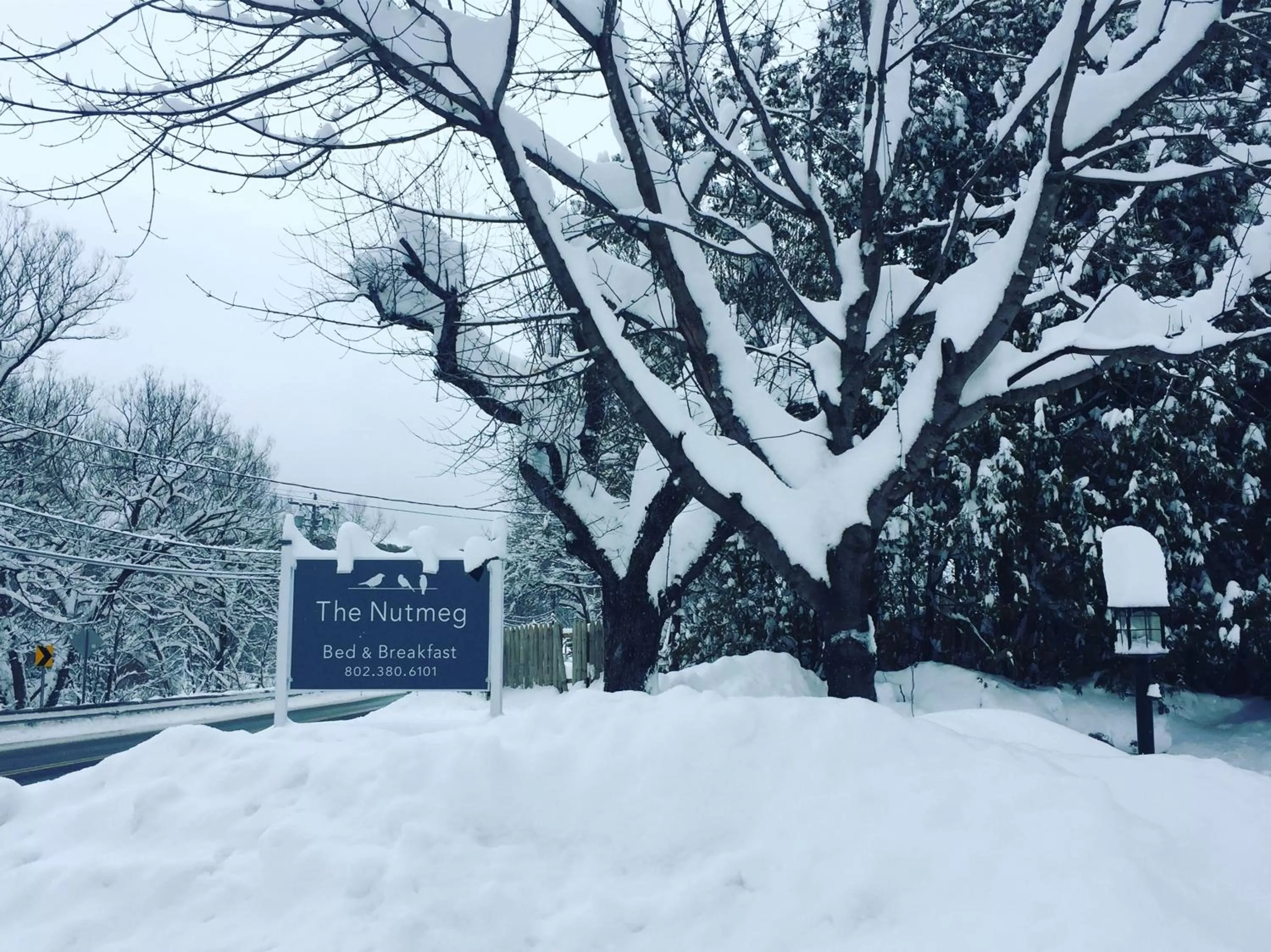 Property logo or sign in The Nutmeg Vermont