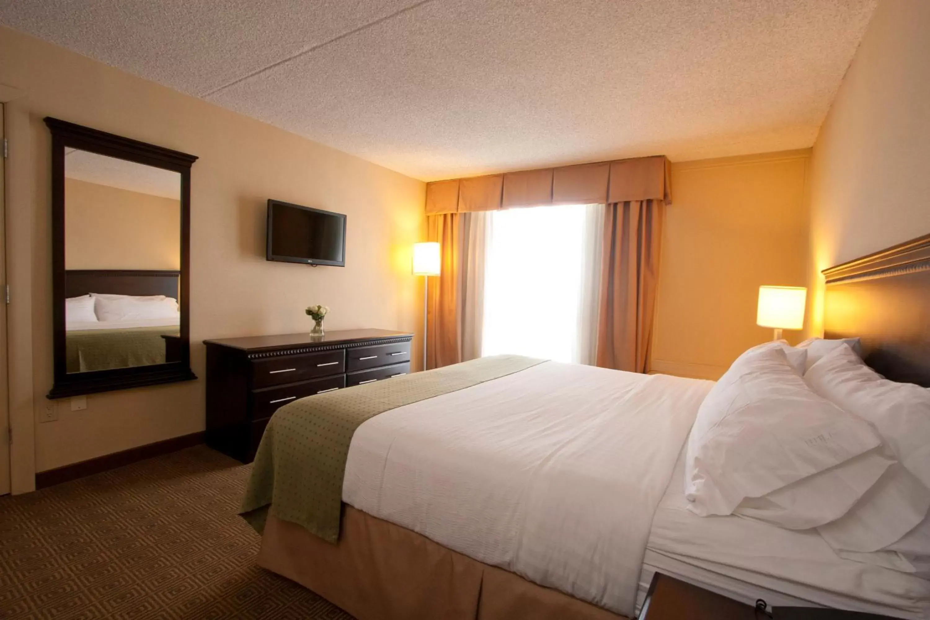 Photo of the whole room, Bed in Holiday Inn South Plainfield-Piscataway, an IHG Hotel