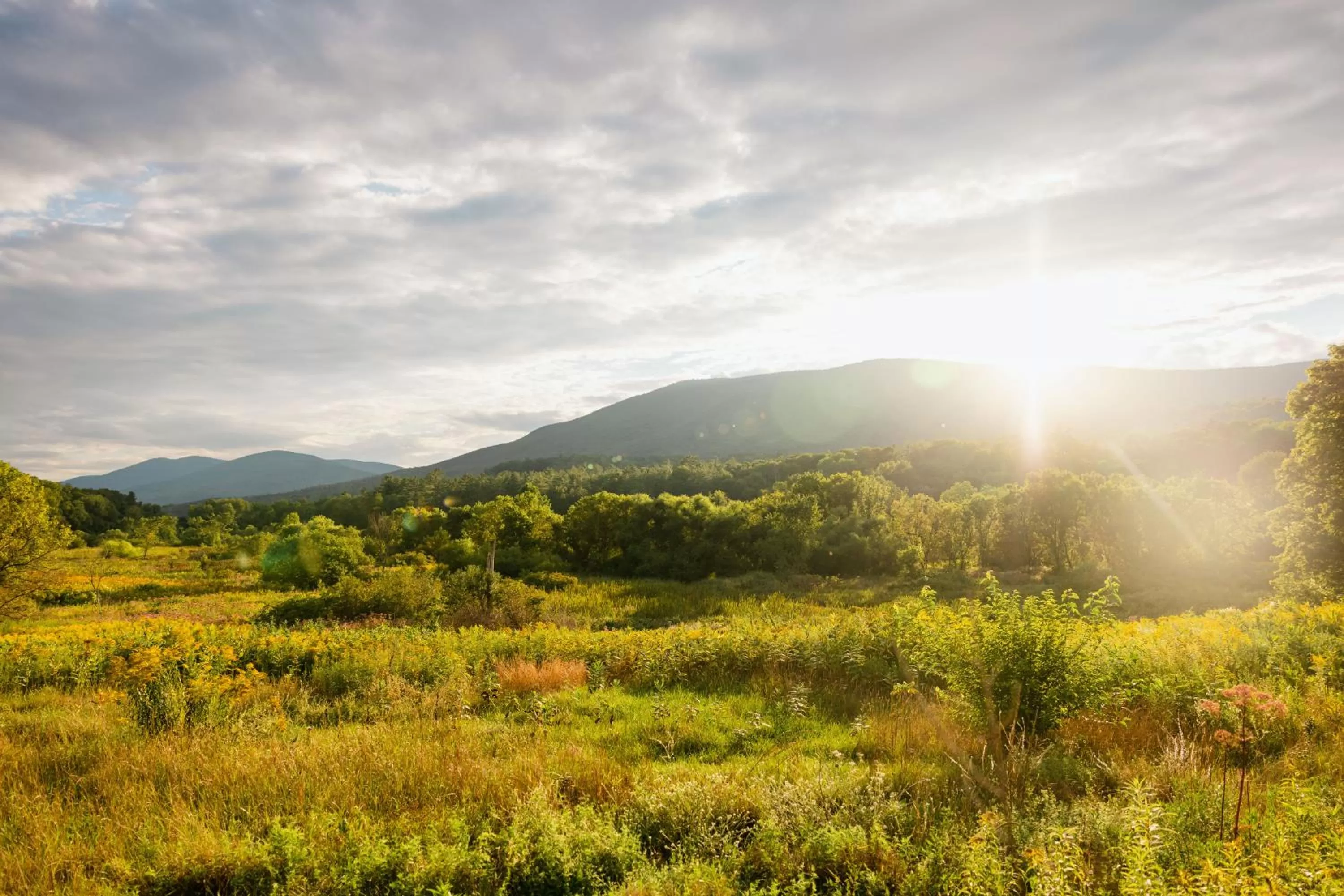 View (from property/room) in Hill Farm Inn - Manchester