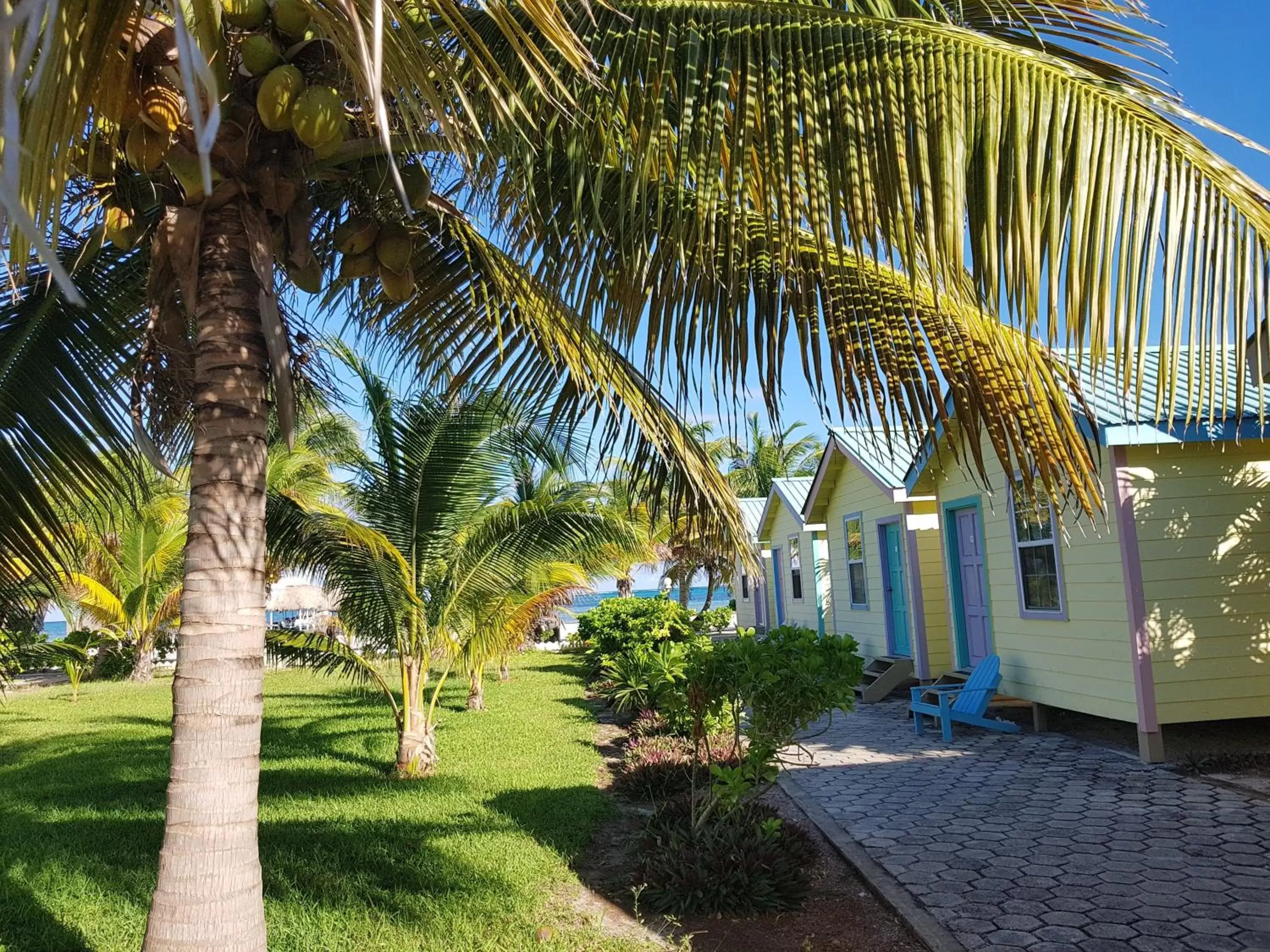 Garden in Royal Caribbean Resort