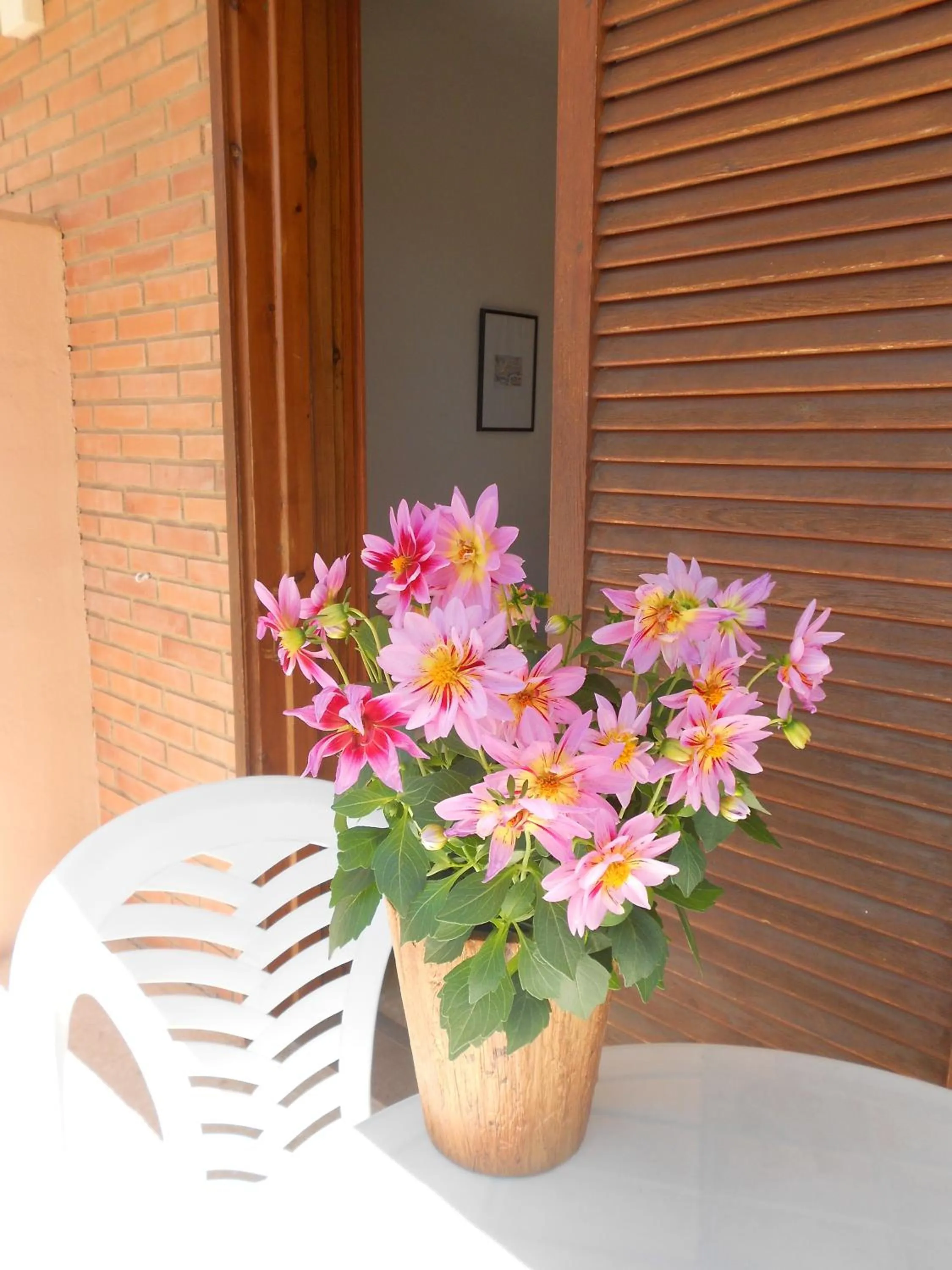 Balcony/Terrace in Hotel Tramontana