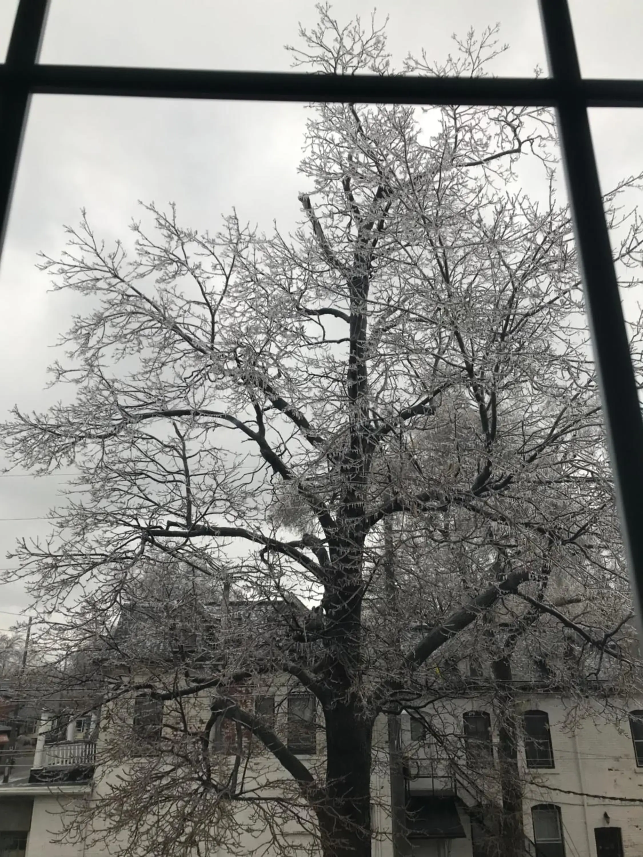 Winter in Pring Guesthouse Winter in Pring Guesthouse