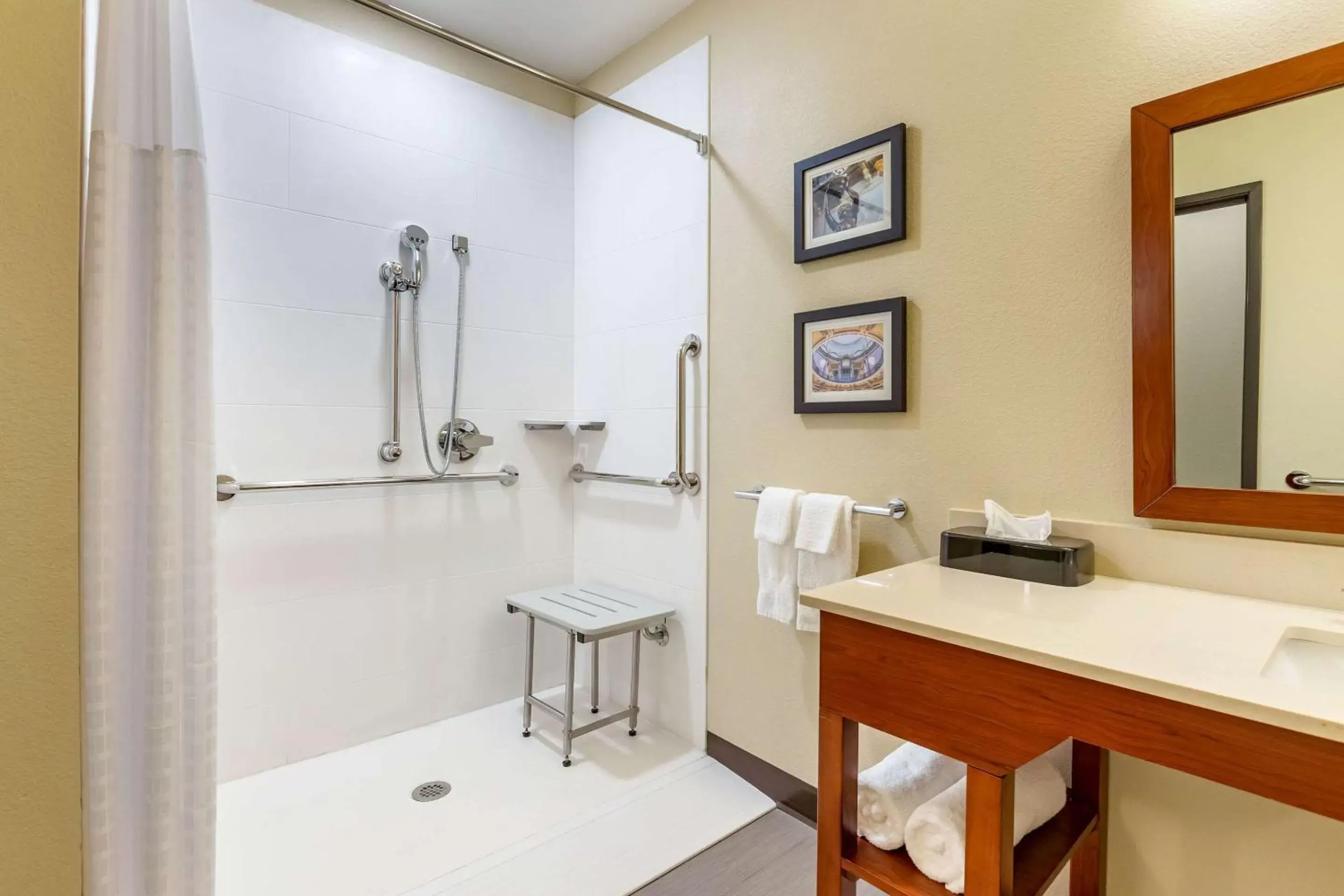 Bathroom in Comfort Inn & Suites West Des Moines