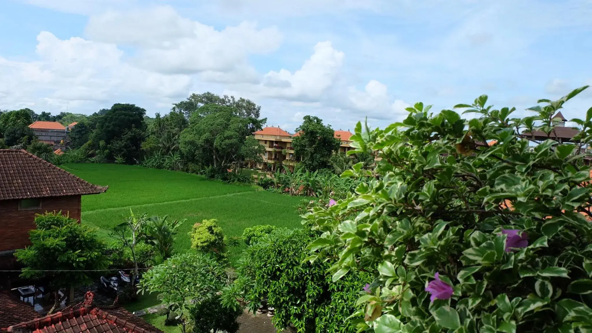 View (from property/room) in Kun - Kun Guest House Ubud View (from property/room) in Kun - Kun Guest House Ubud