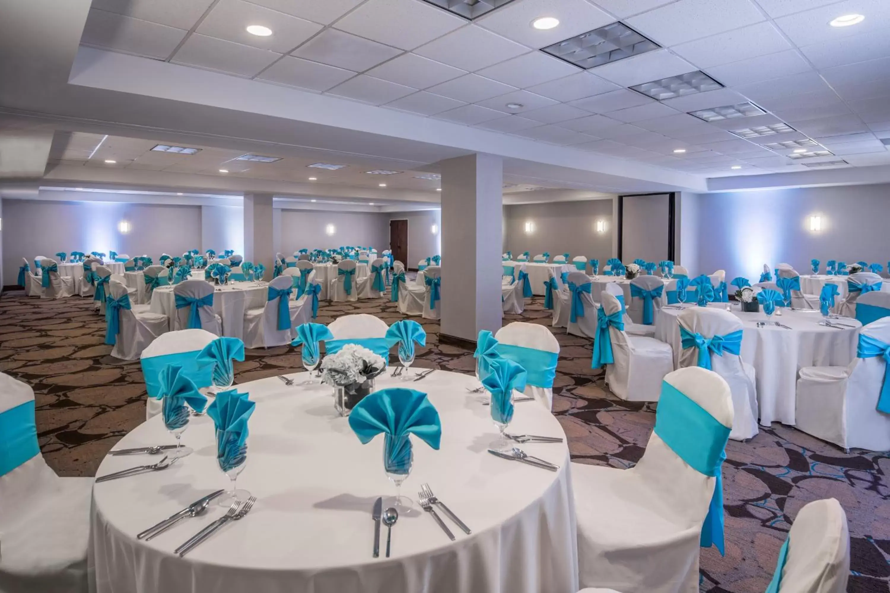 Banquet/Function facilities, Banquet Facilities in Crowne Plaza Memphis Downtown, an IHG Hotel