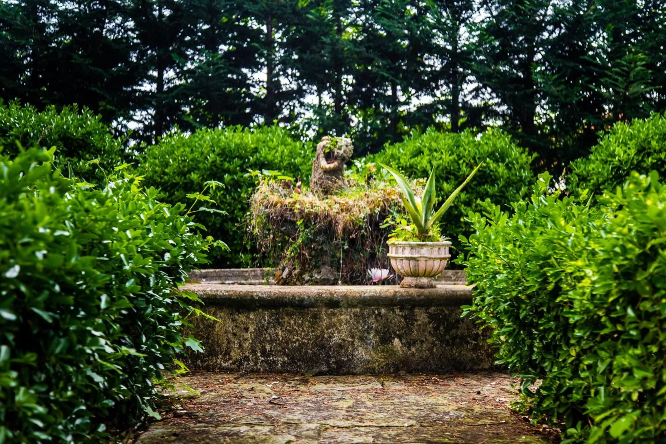 Other in Casa Matilde