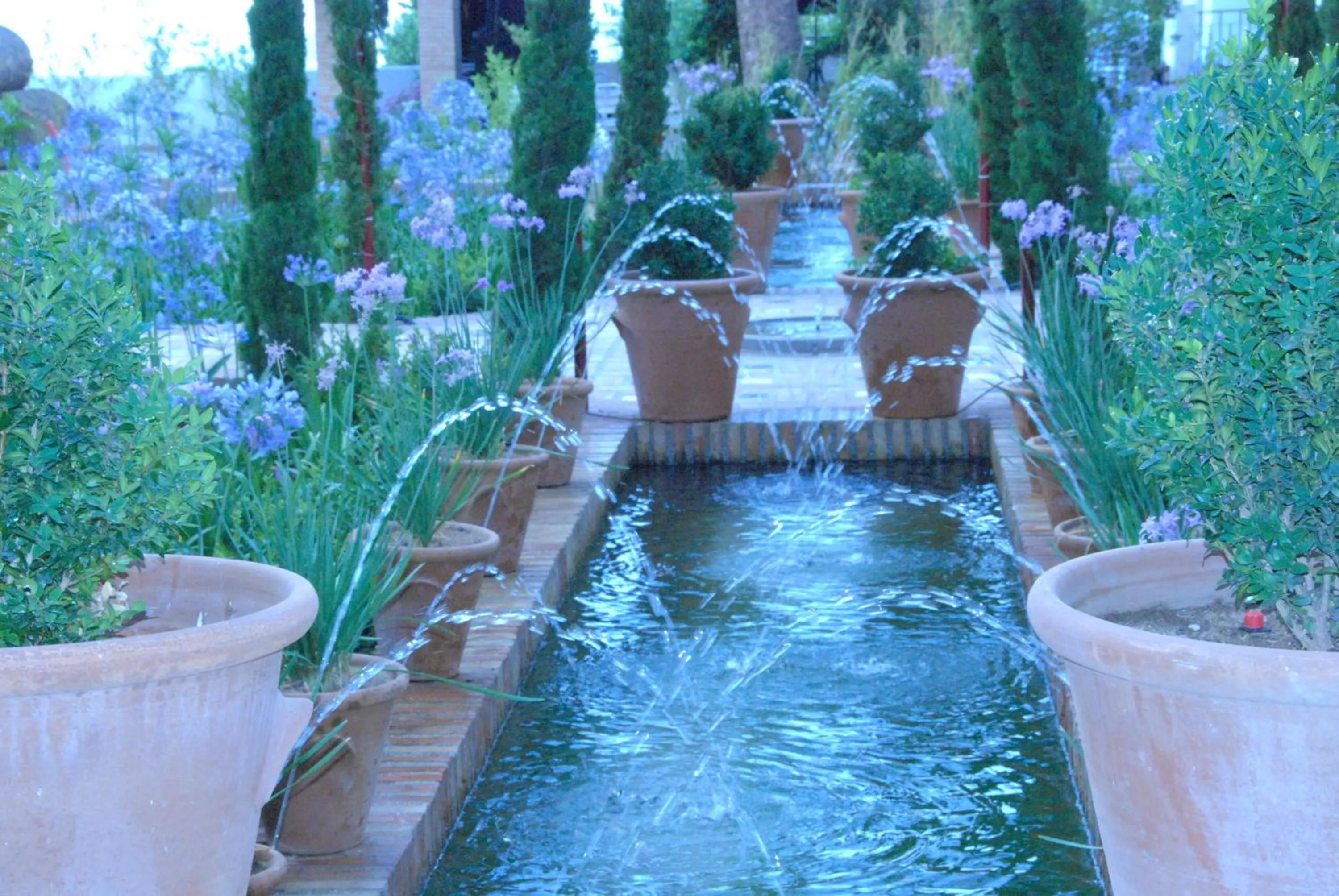 Day in Hotel Andalucia