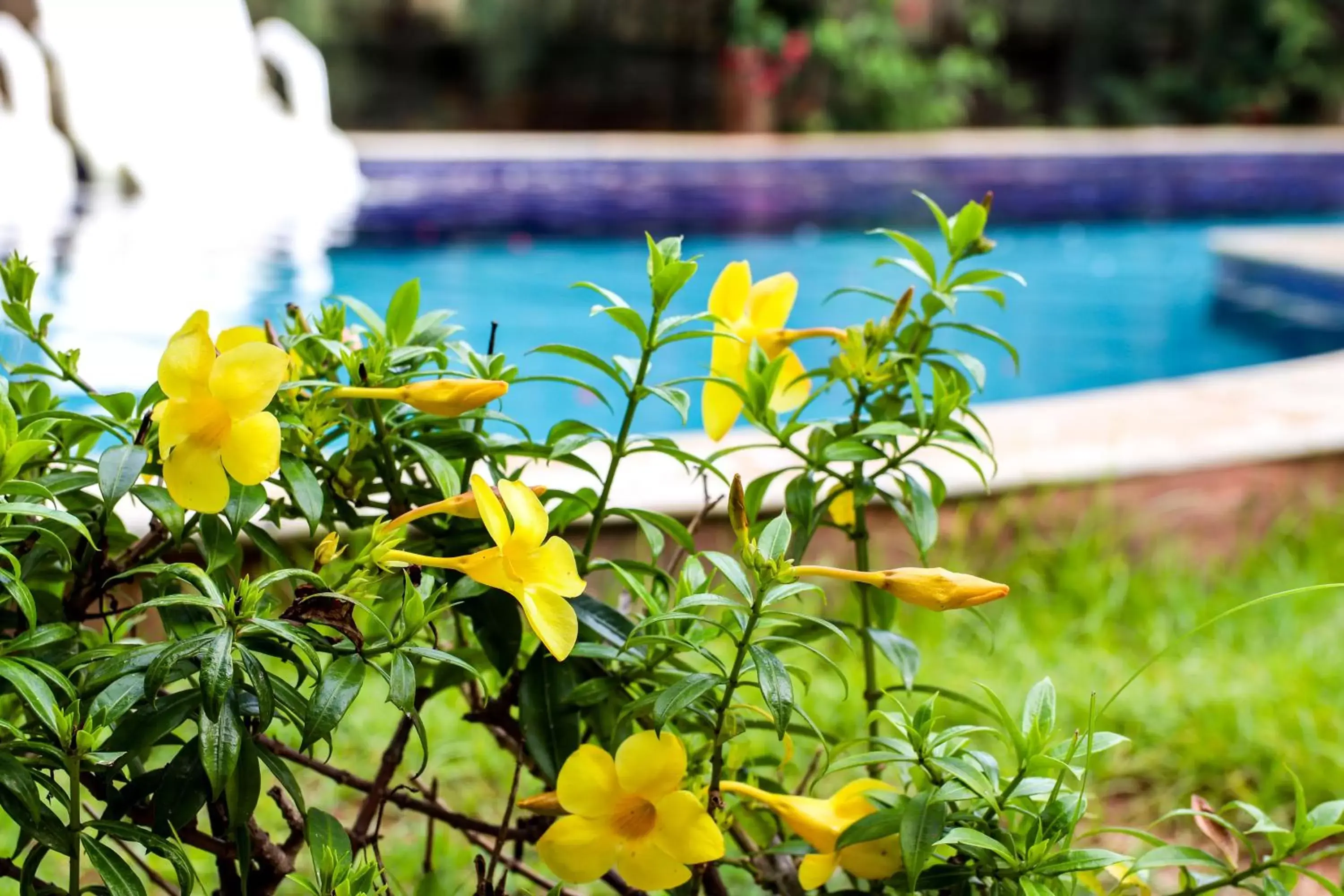 Swimming pool in Imperial Hotel By Nobile Swimming pool in Imperial Hotel By Nobile